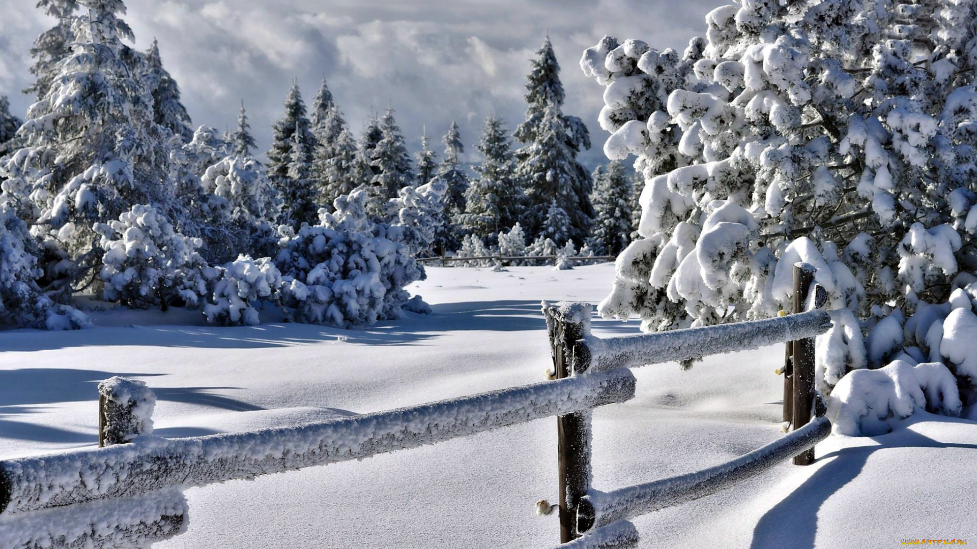 природа, зима, снег