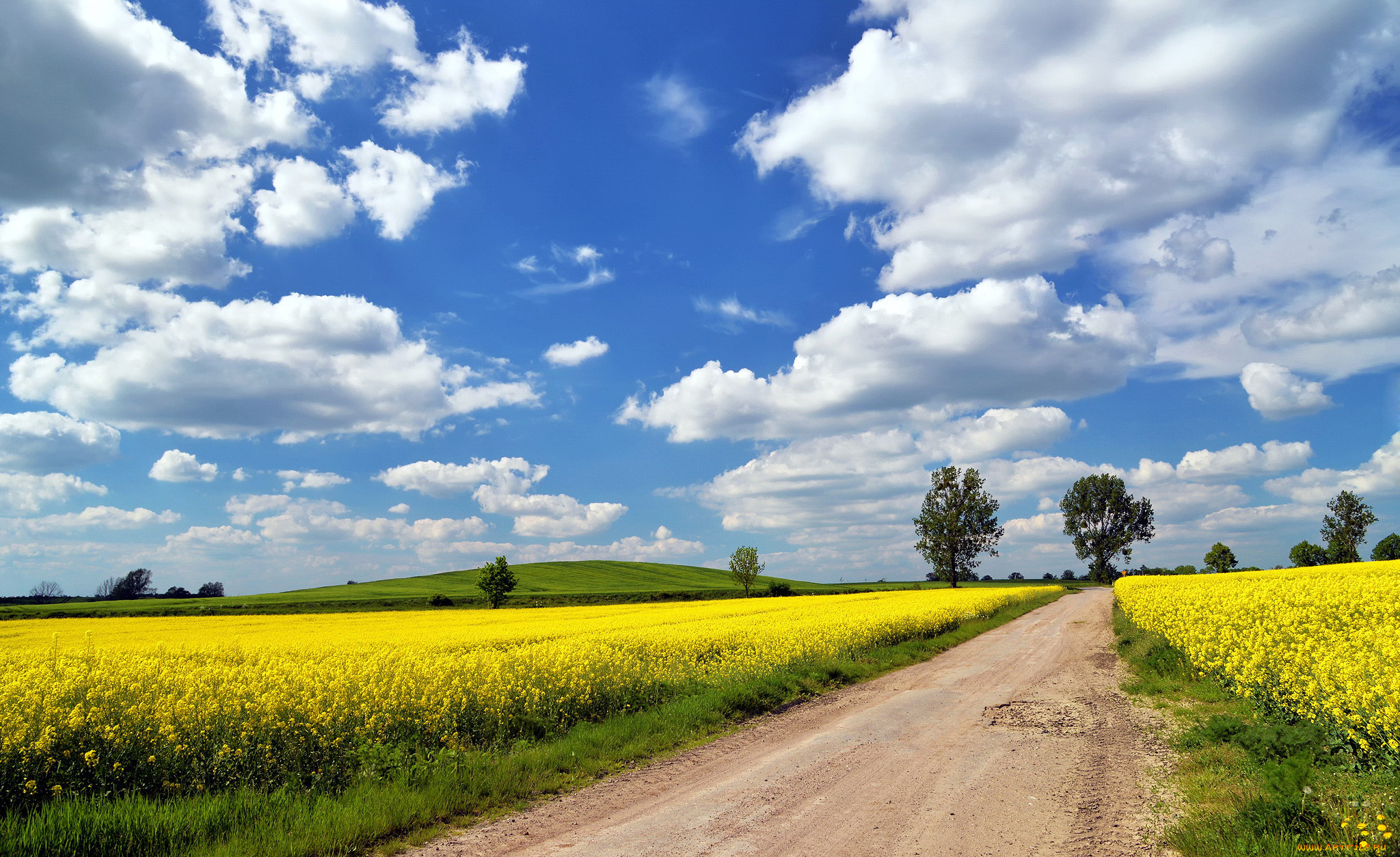 природа, дороги, поле, дорога, лето