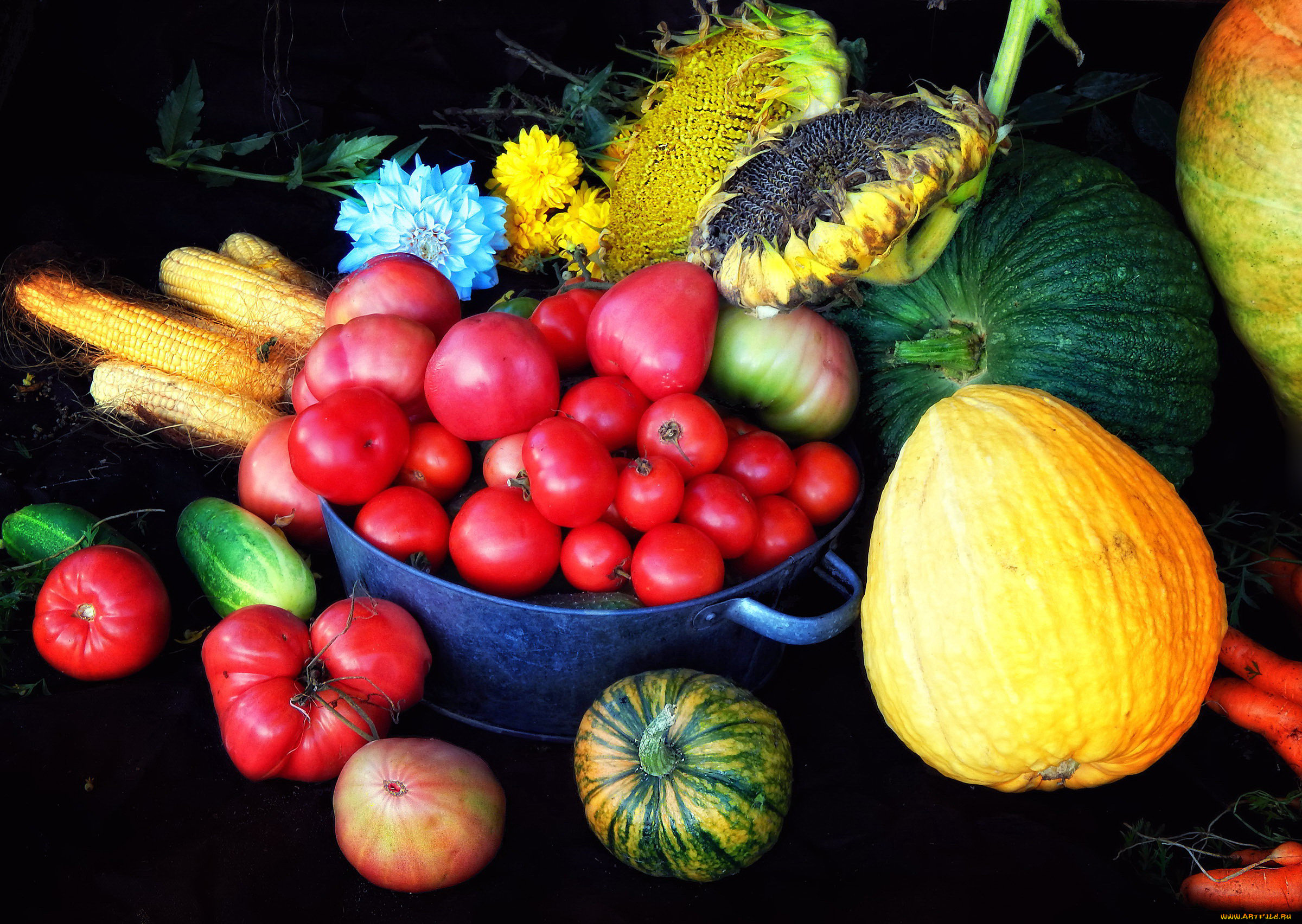 еда, овощи, кукуруза, помидоры