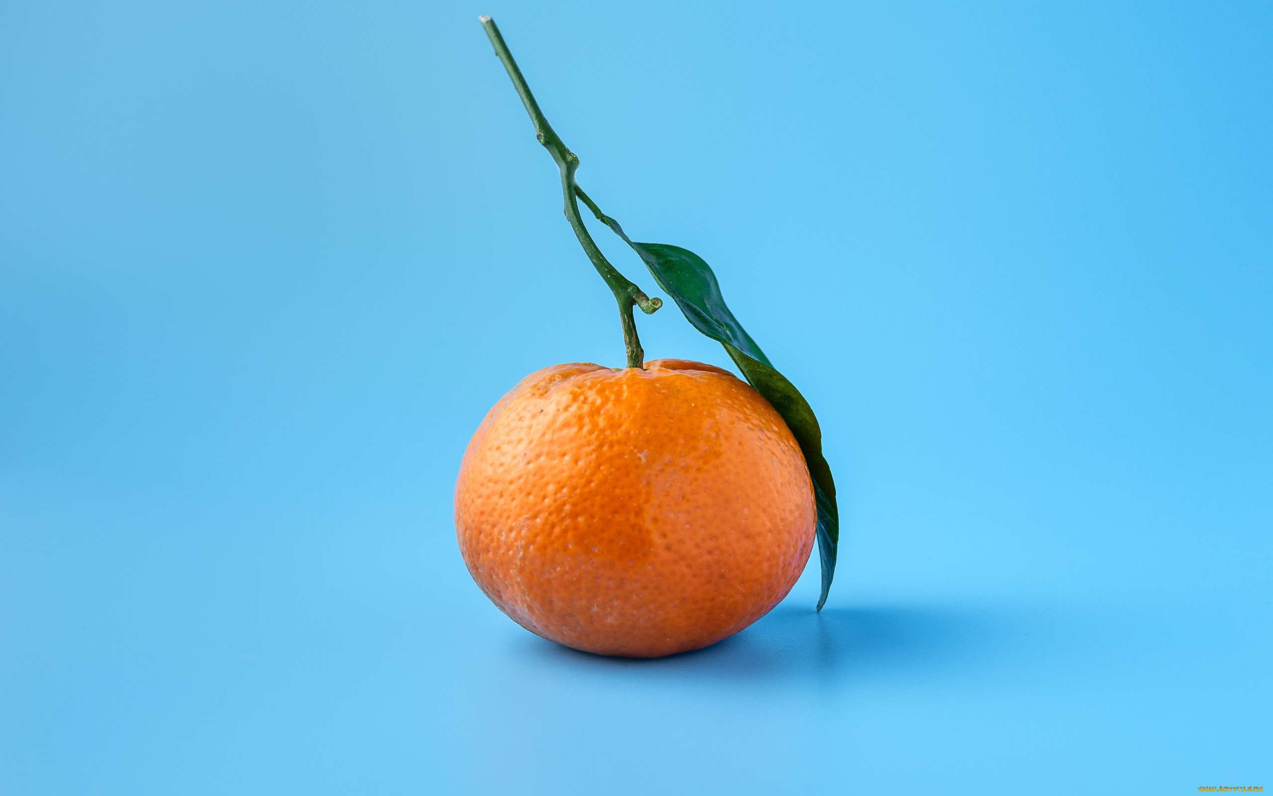 еда, цитрусы, мандарин