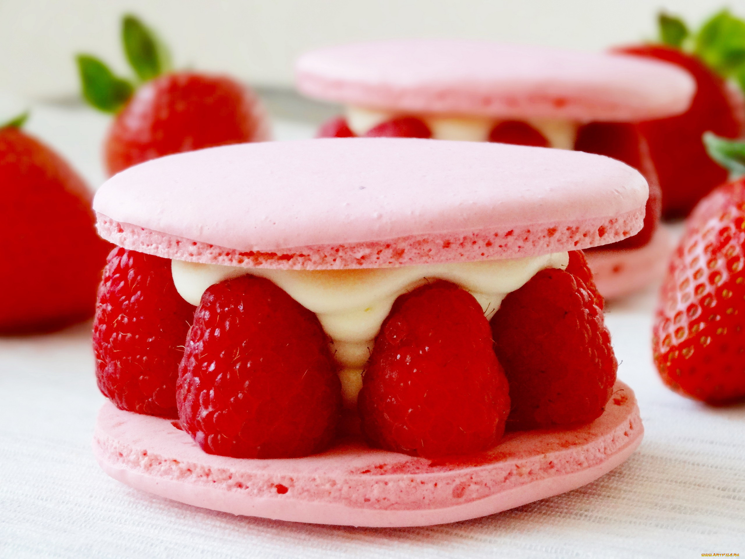 еда, макаруны, лакомство, печенье