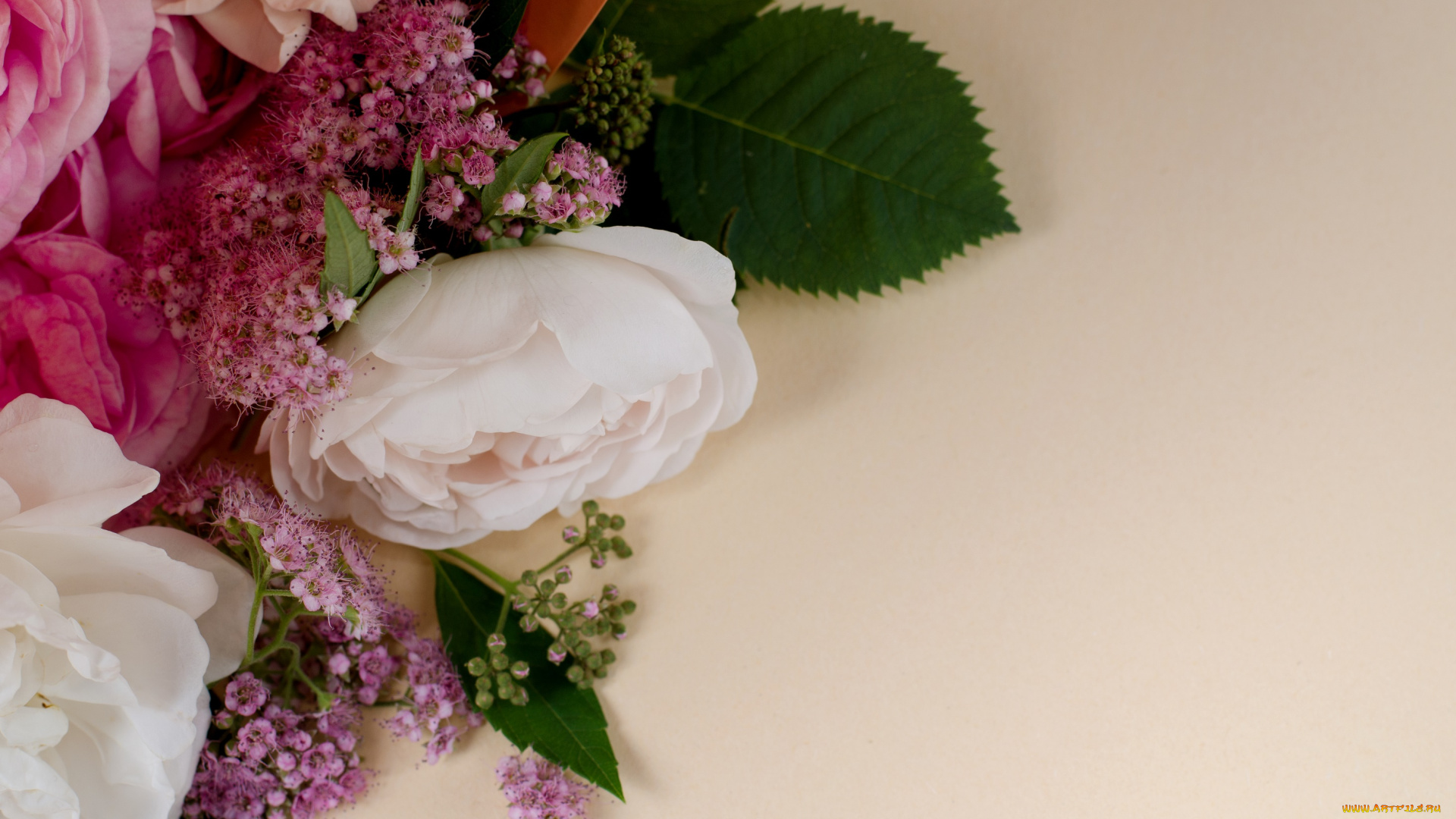 цветы, разные, вместе, розы