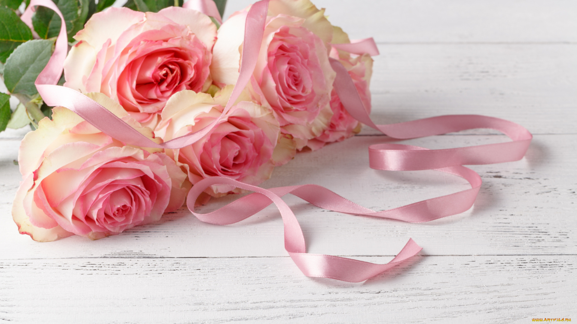 цветы, розы, букет, лента