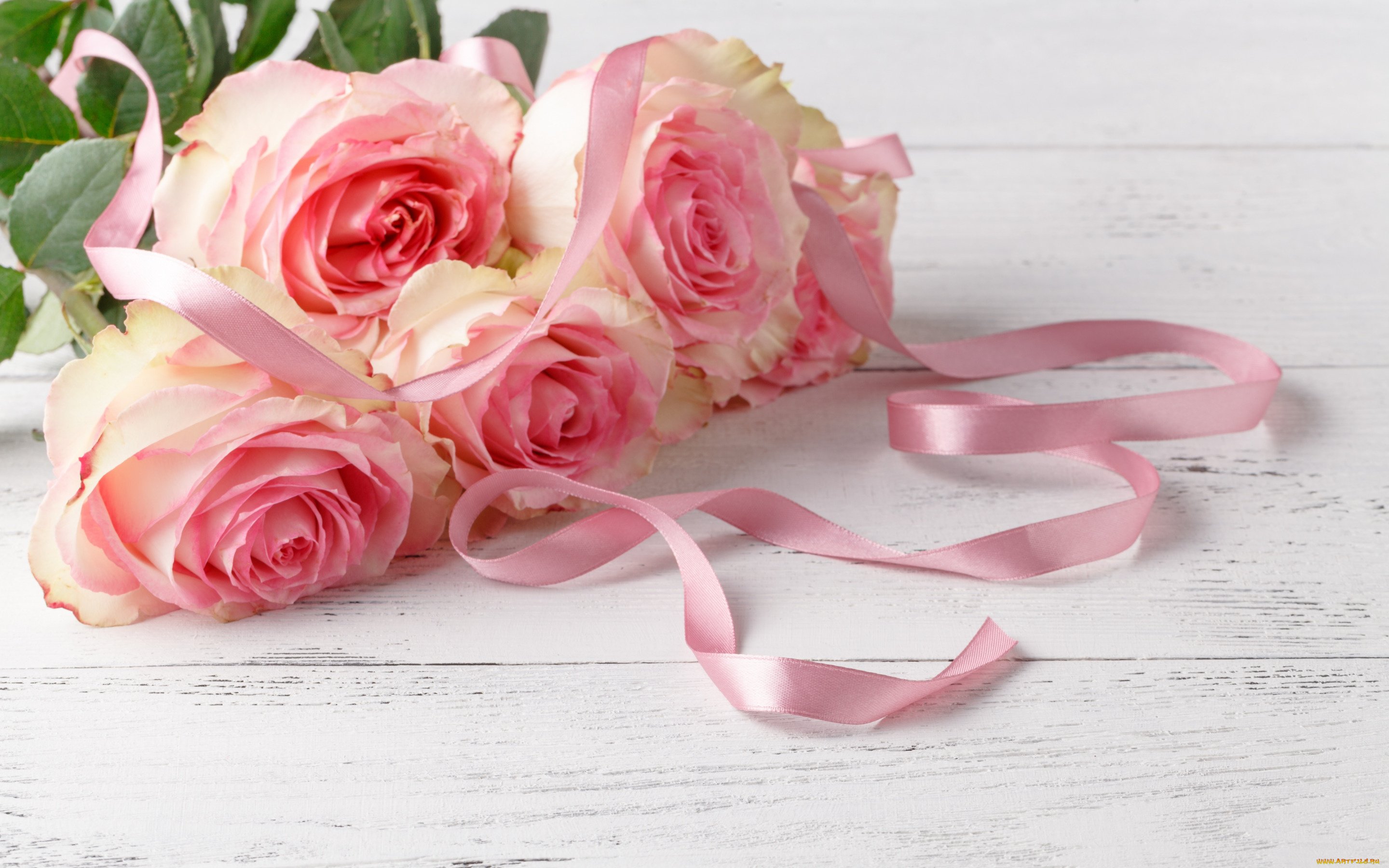 цветы, розы, букет, лента