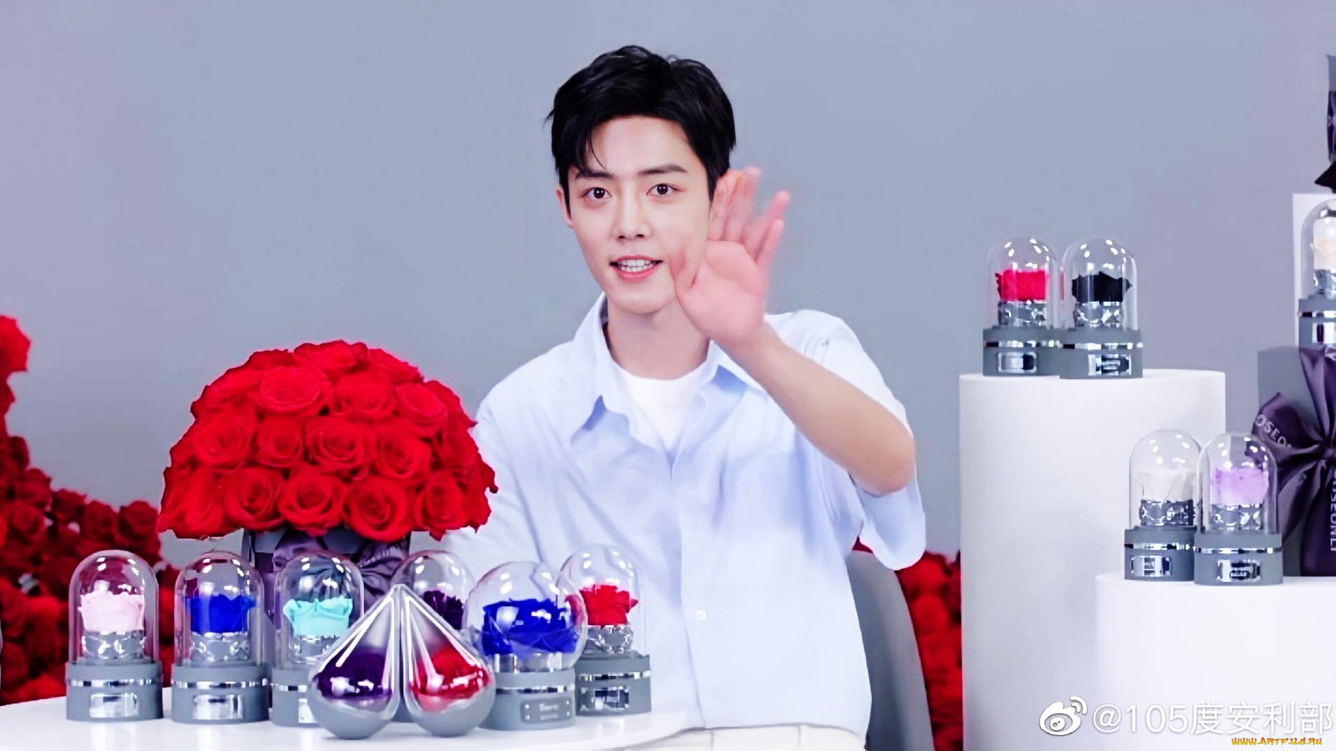 мужчины, xiao, zhan, актер, розы, колбы, презентация