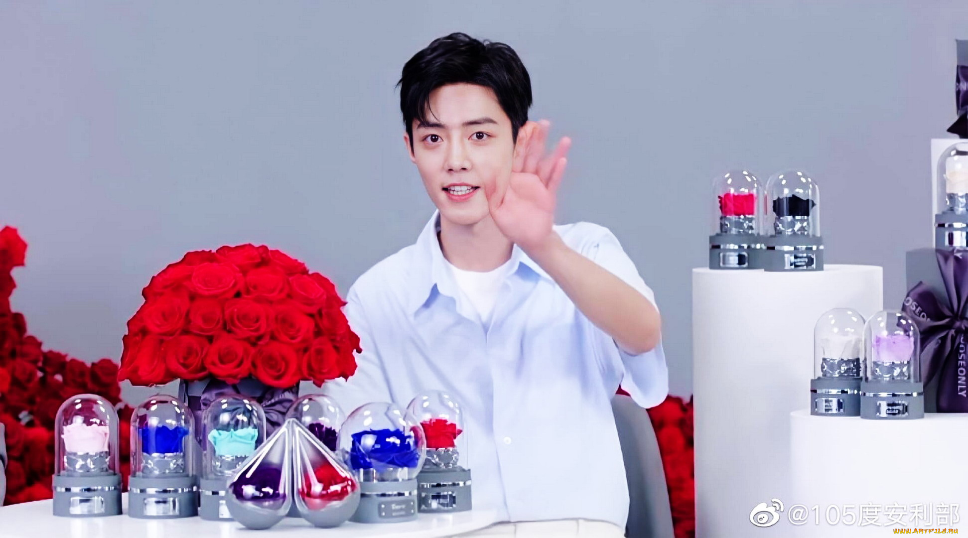 мужчины, xiao, zhan, актер, розы, колбы, презентация