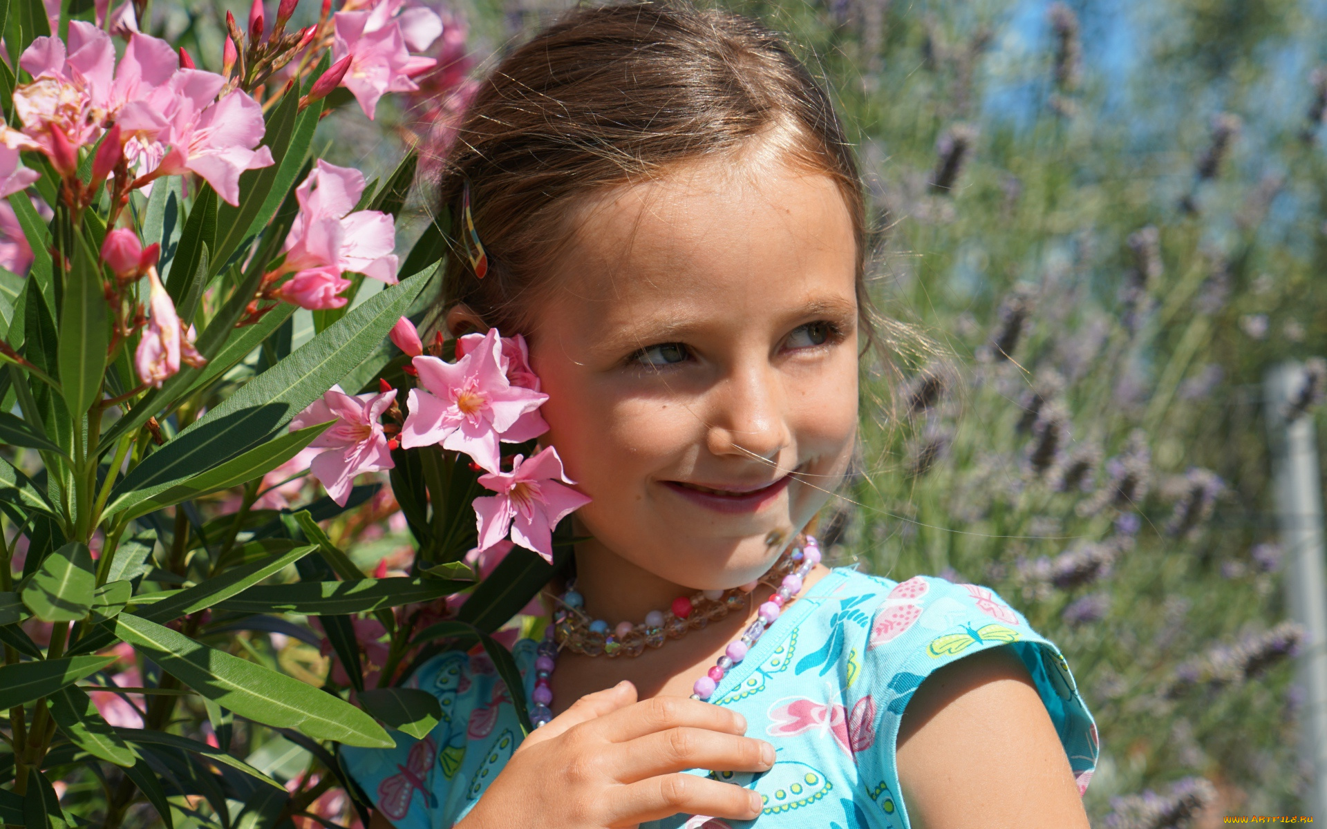 разное, дети, девочка, олеандр