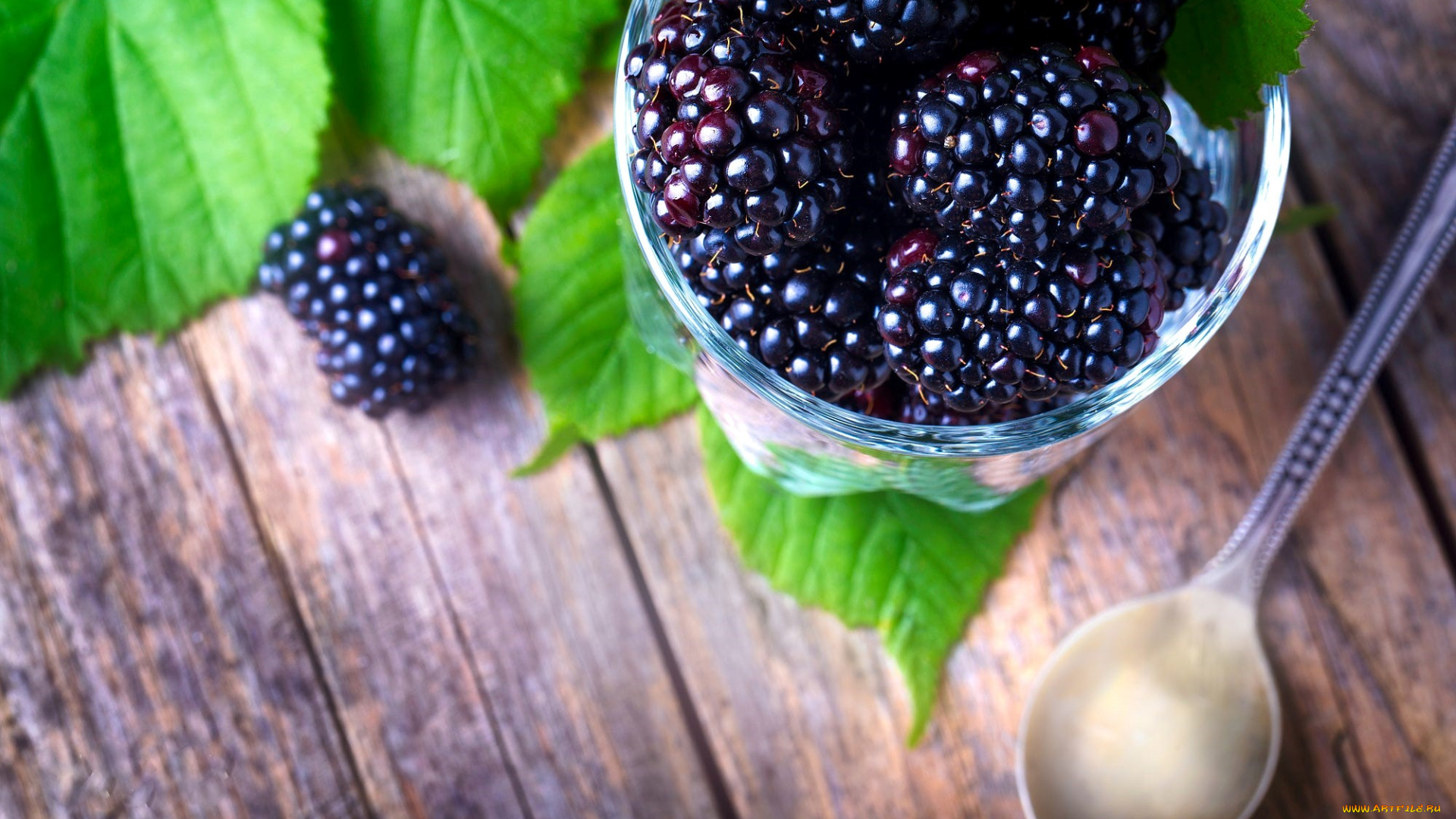 еда, ежевика, ягоды, спелая