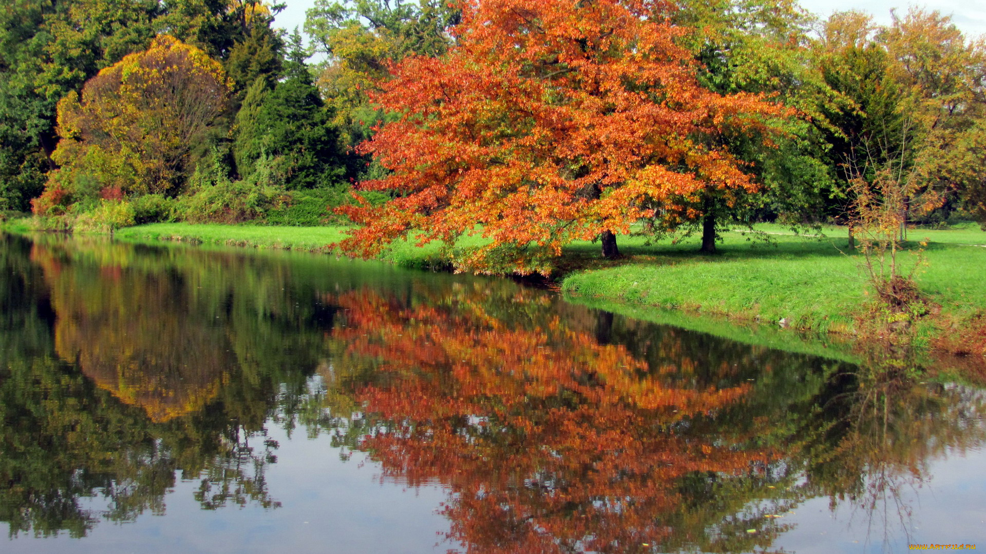 природа, реки, озера, река