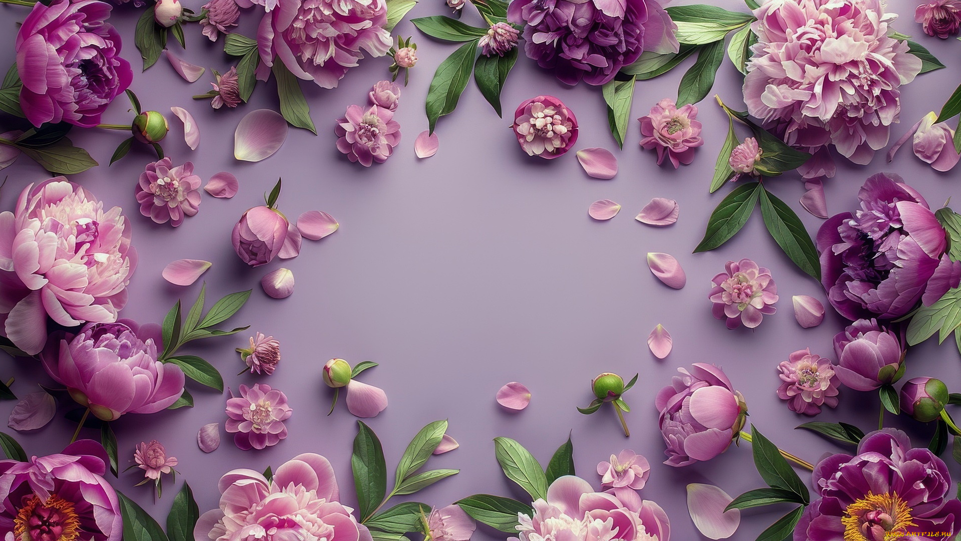 3д, графика, цветы, , flowers, пионы