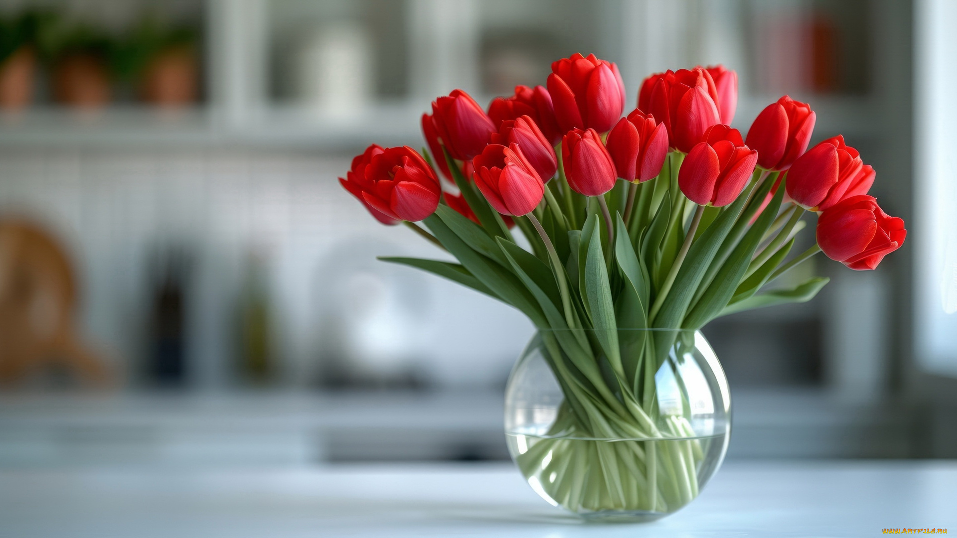 3д, графика, цветы, , flowers, тюльпаны