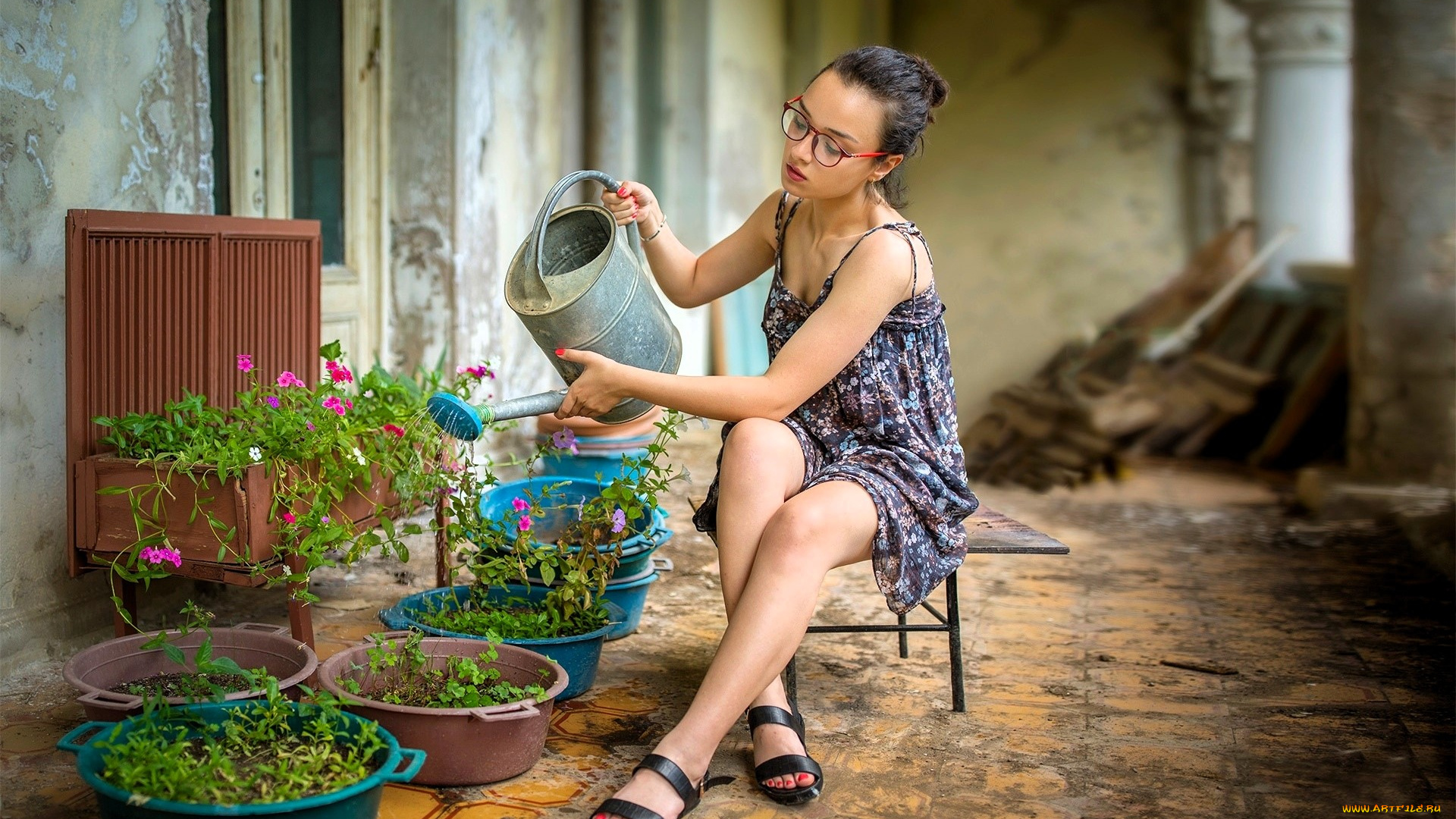 девушки, -, брюнетки, , шатенки, брюнетка, очки, сарафан, табуретка, лейка, цветы, рассада