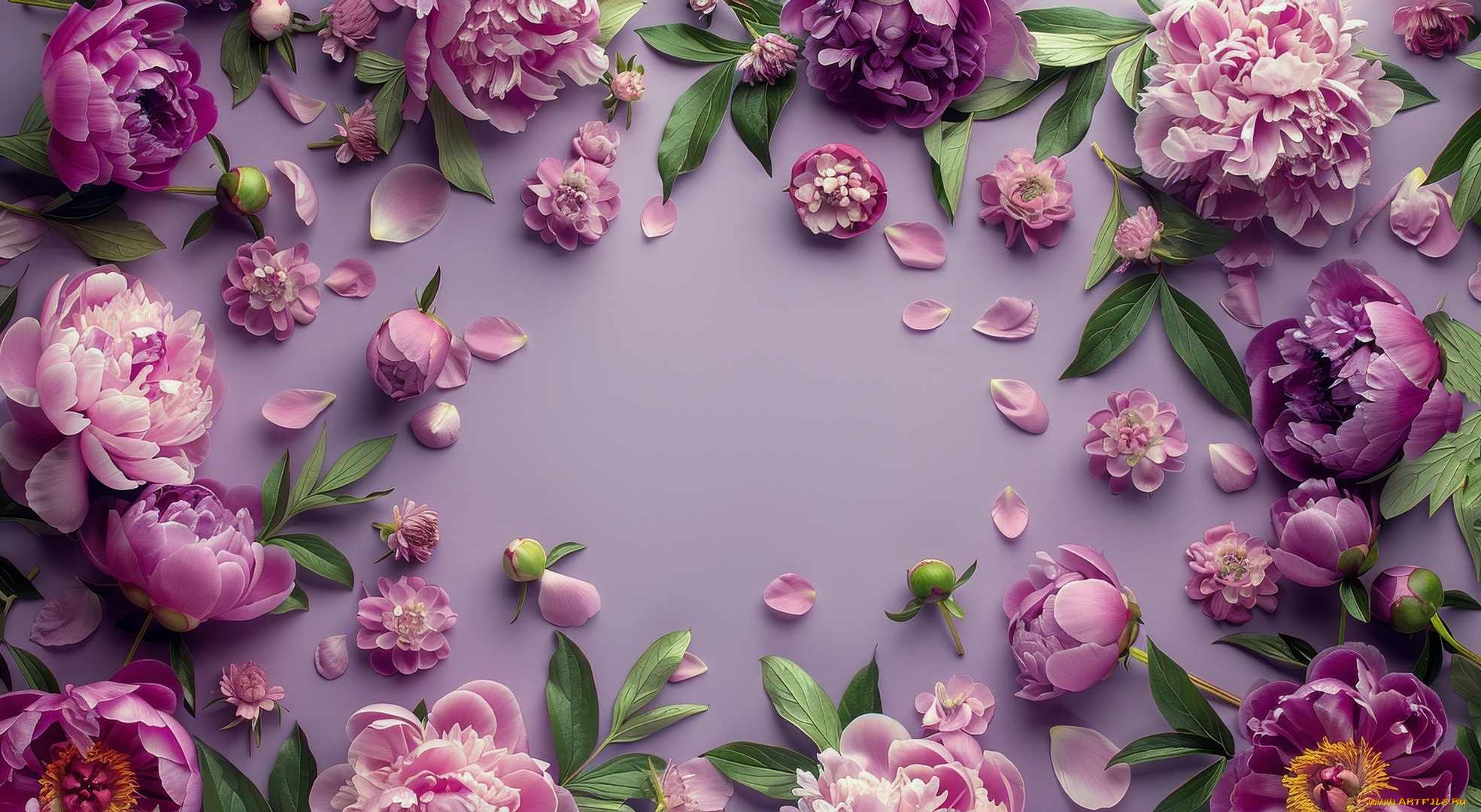 3д, графика, цветы, , flowers, пионы