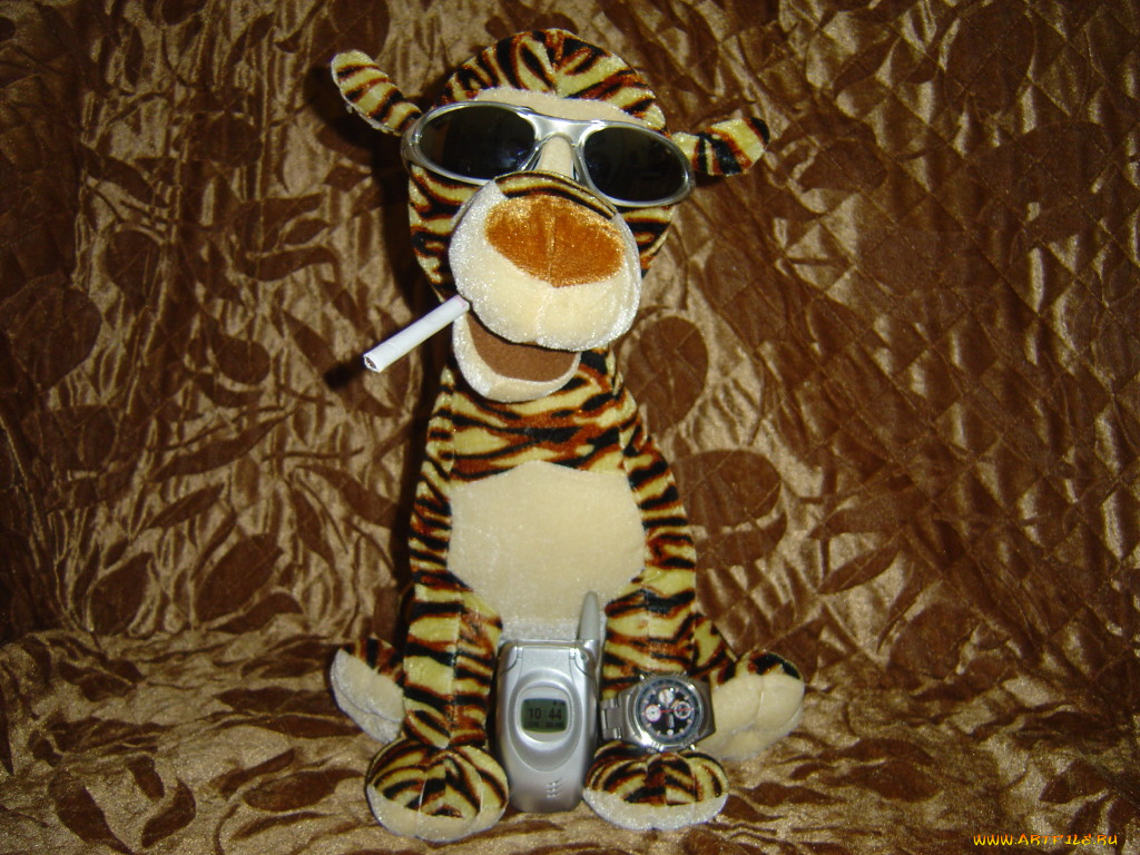 тигра, юмор, приколы