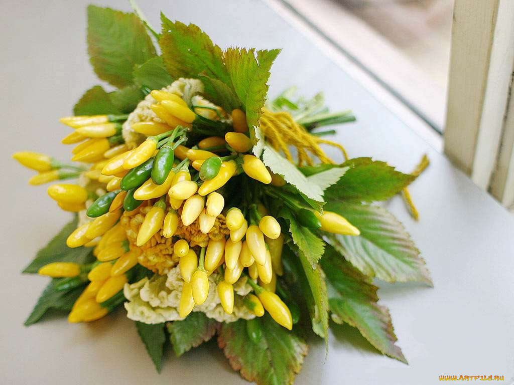 цветы, букеты, композиции