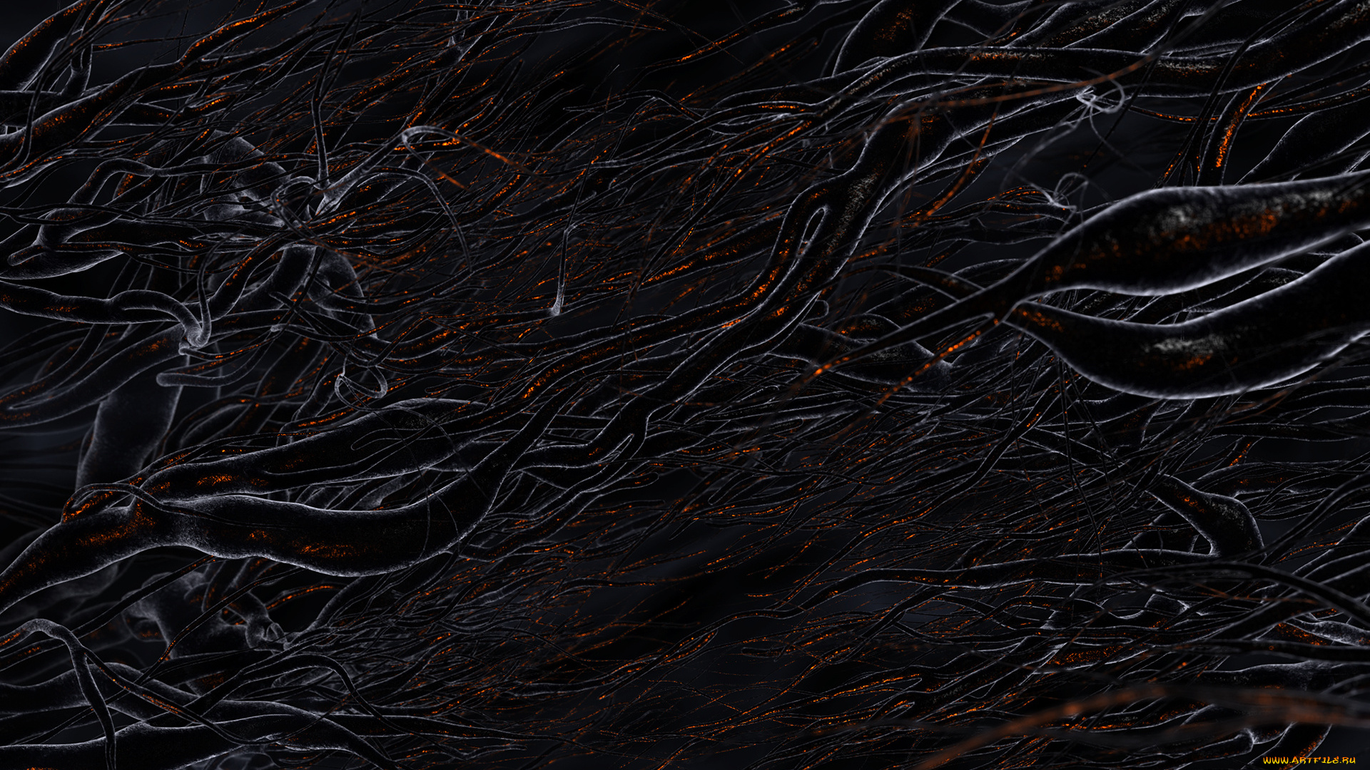 3д, графика, abstract, абстракции