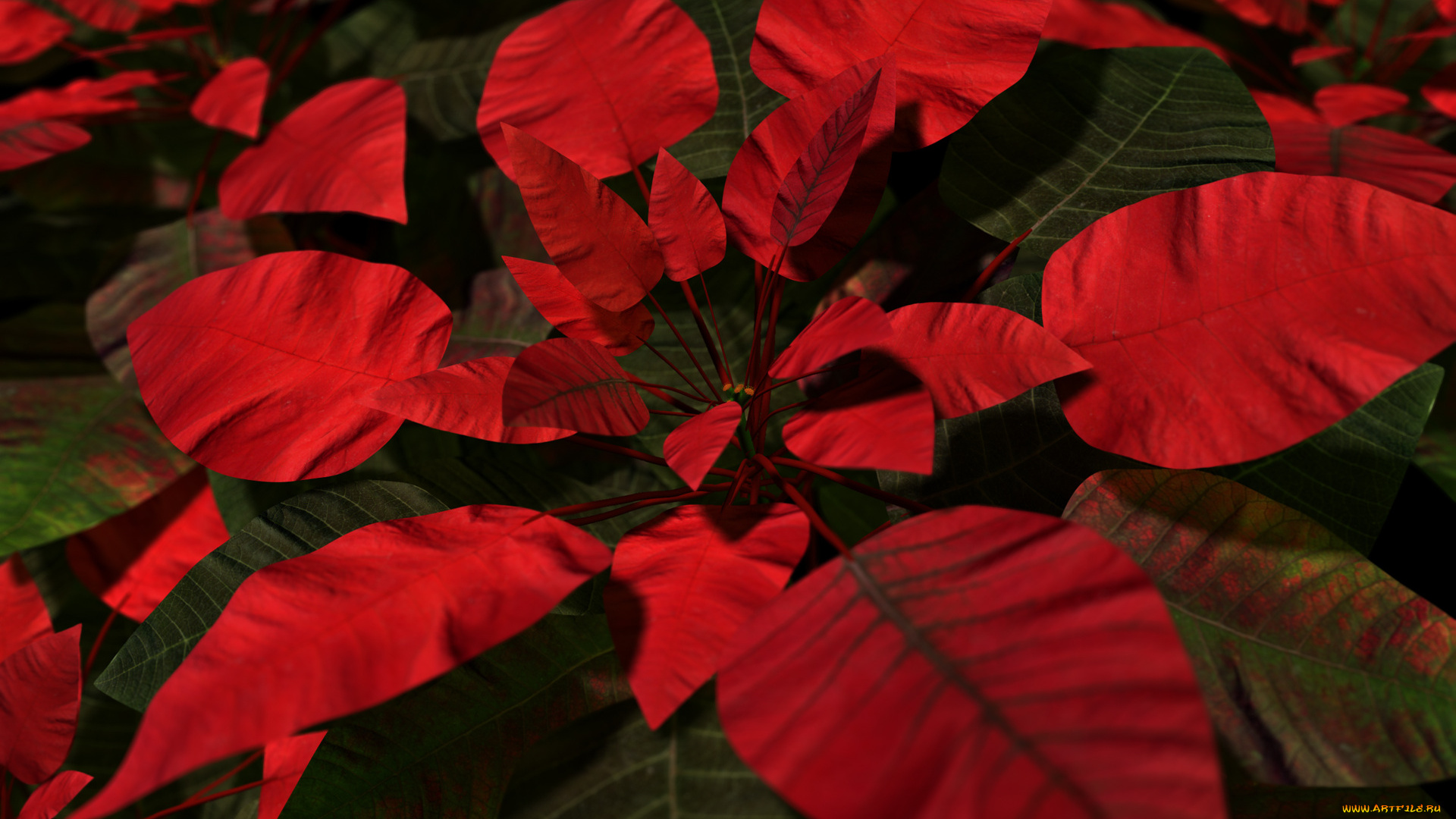 3д, графика, nature, landscape, природа