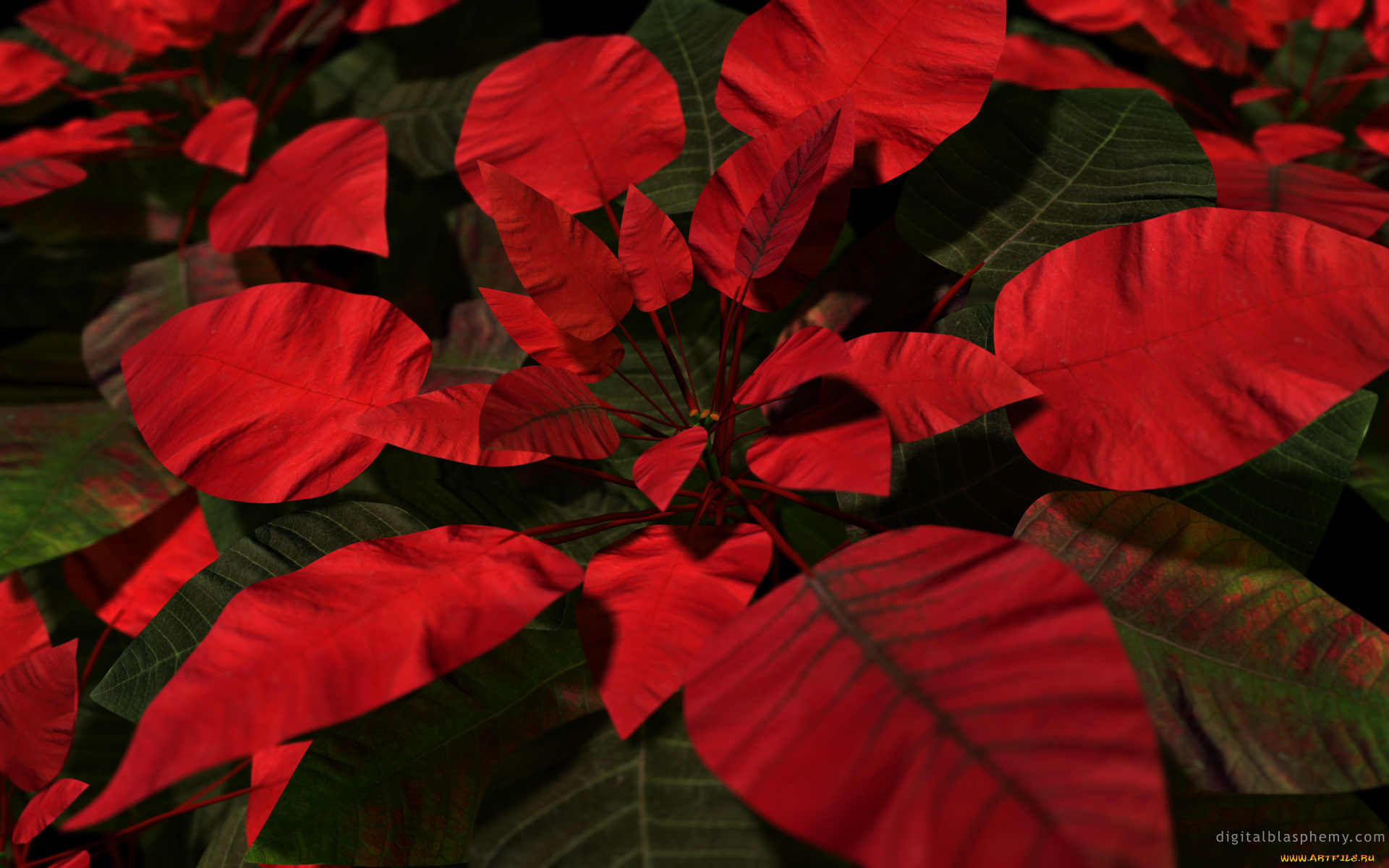 3д, графика, nature, landscape, природа