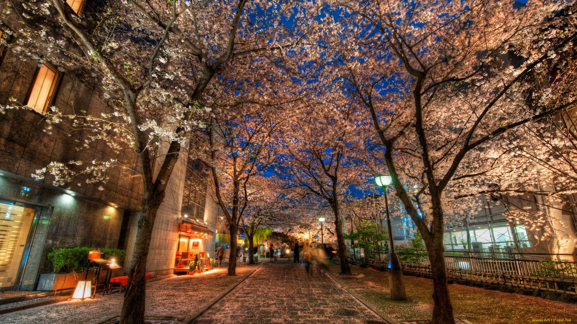 kyoto, japan, города, огни, ночного