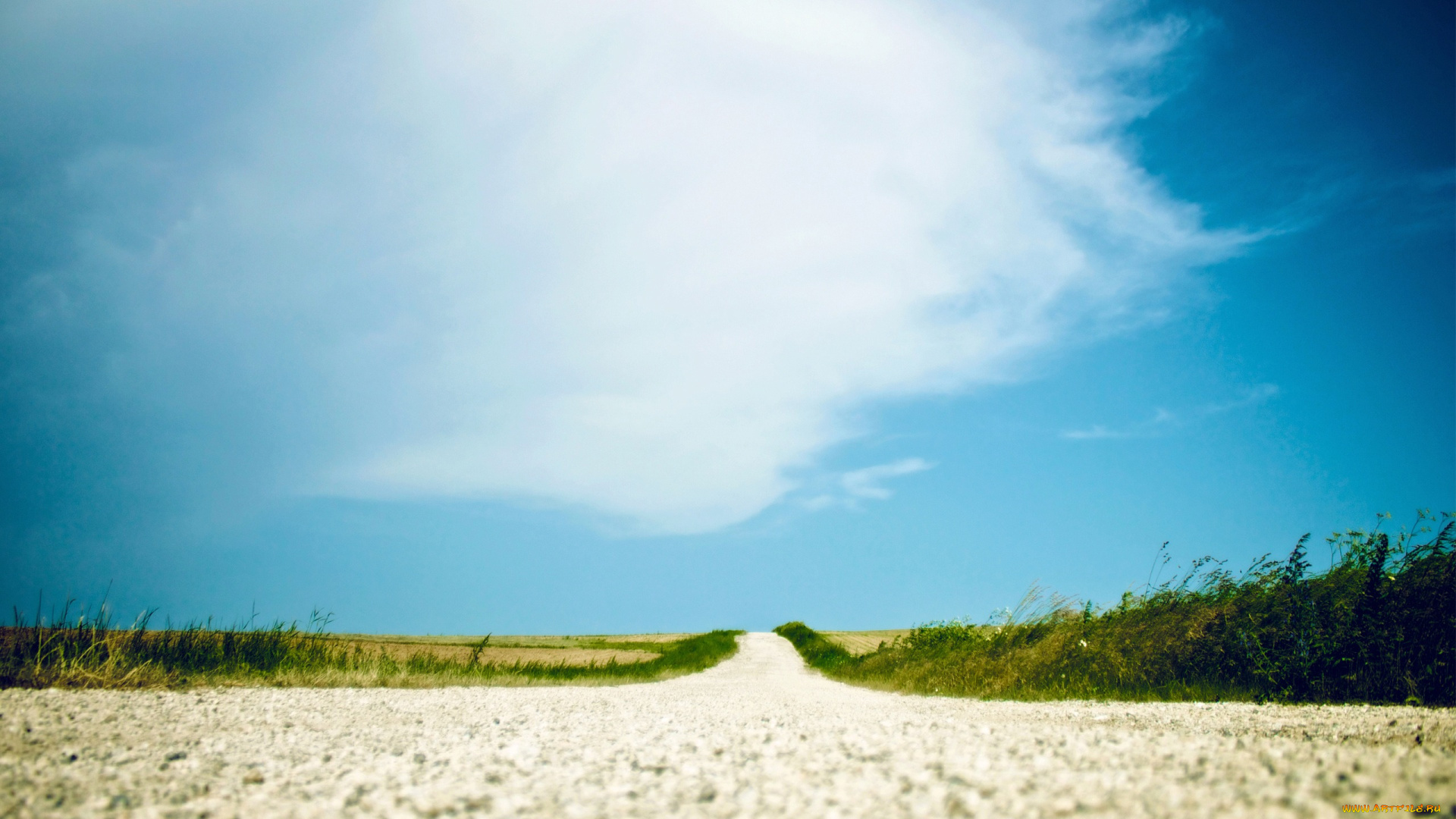 природа, дороги