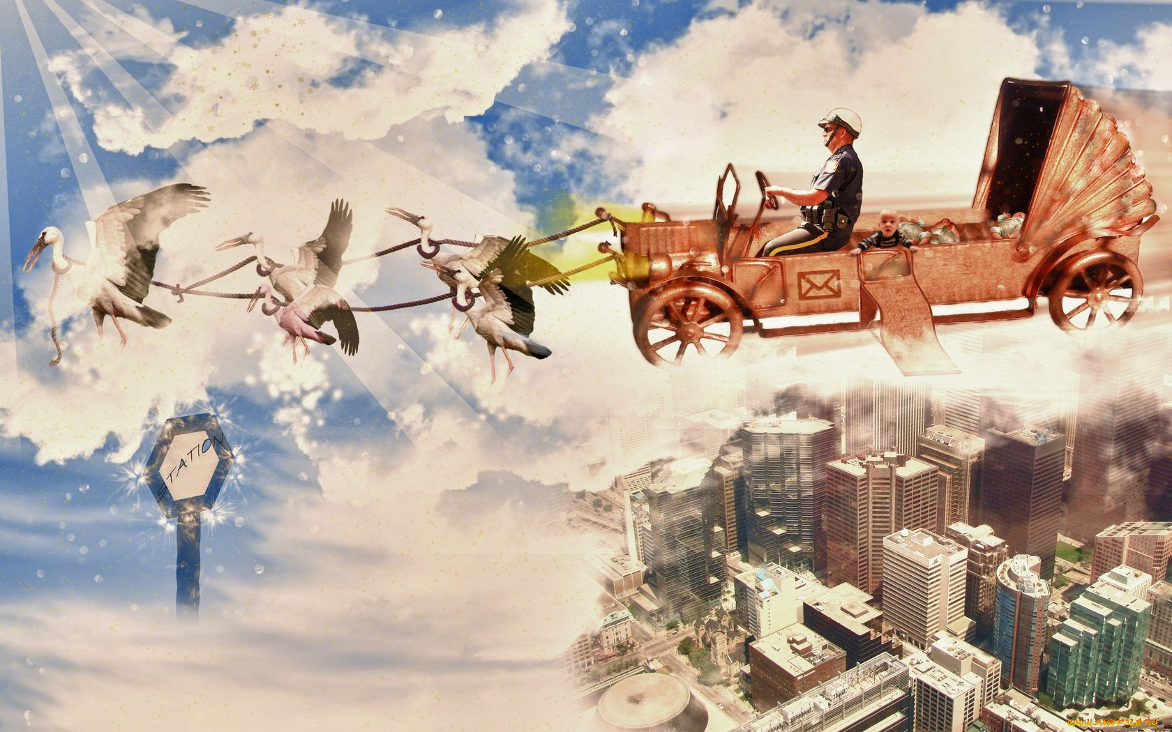 юмор, приколы, аисты