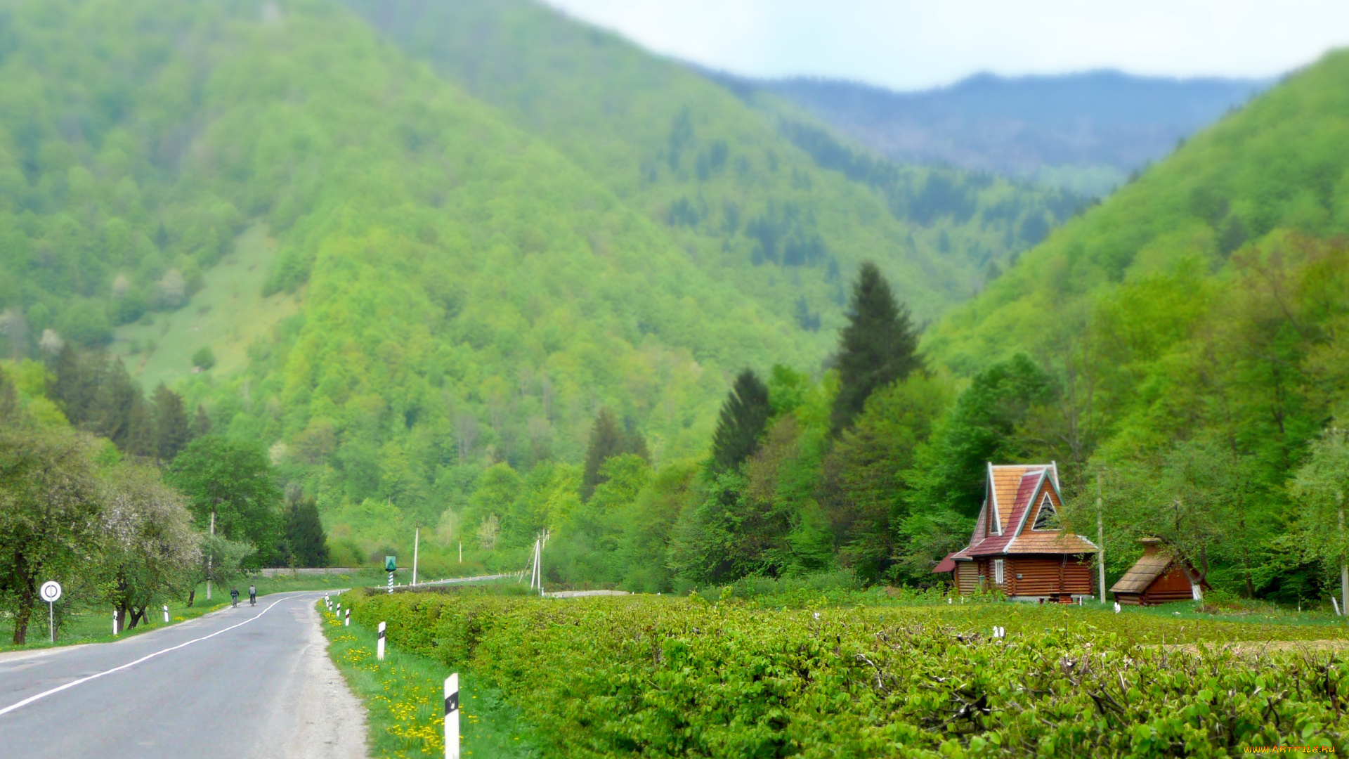 природа, дороги