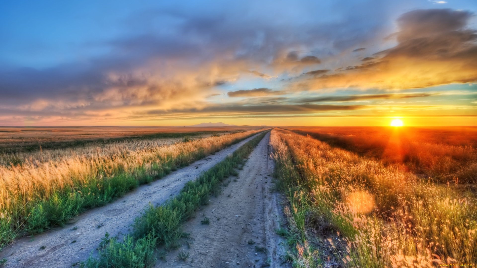 природа, дороги