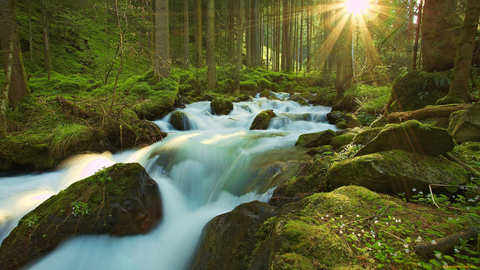 природа, реки, озера