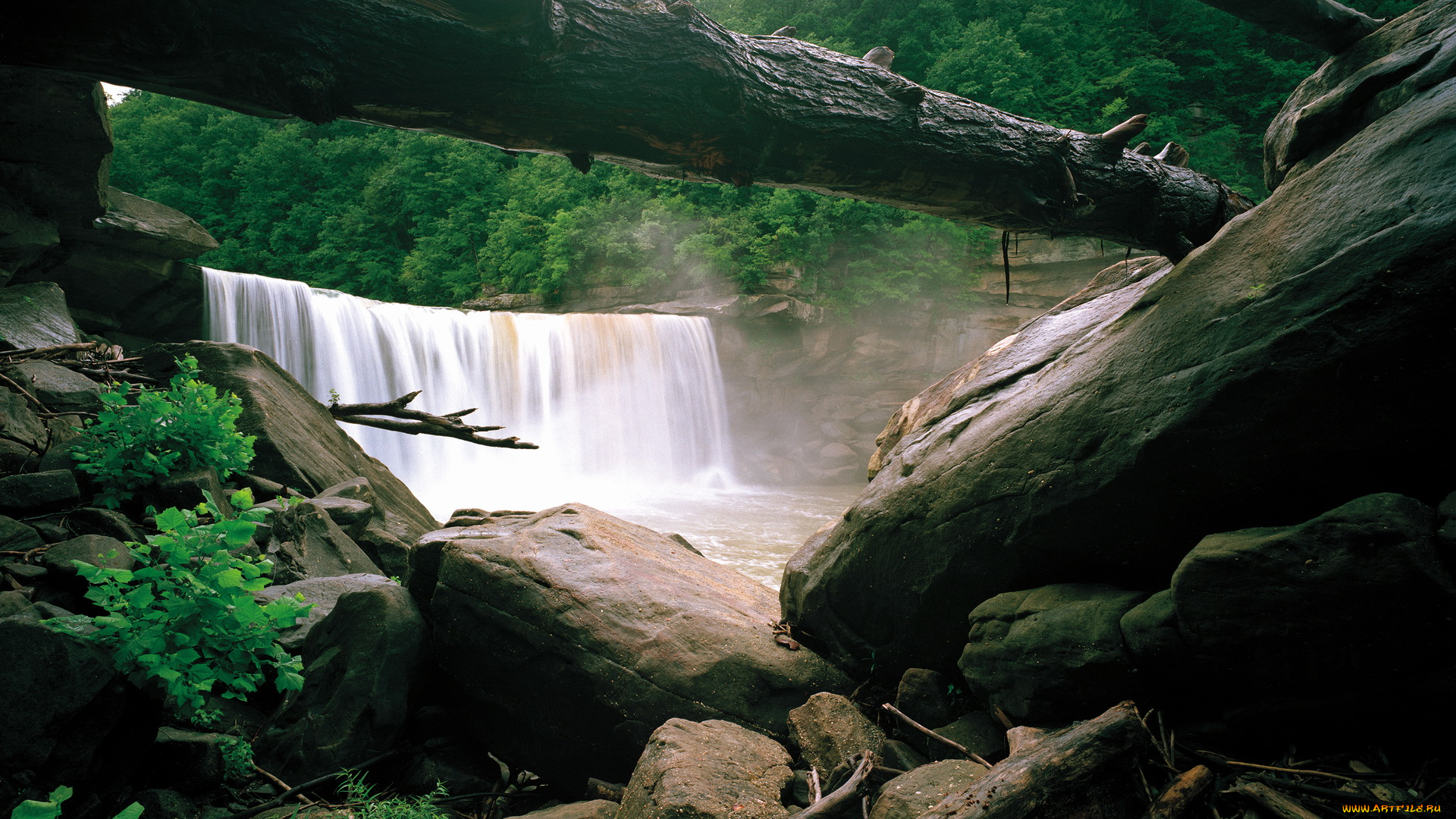 cumberland, falls, kentucky, сша, природа, водопады, водопад, бревна
