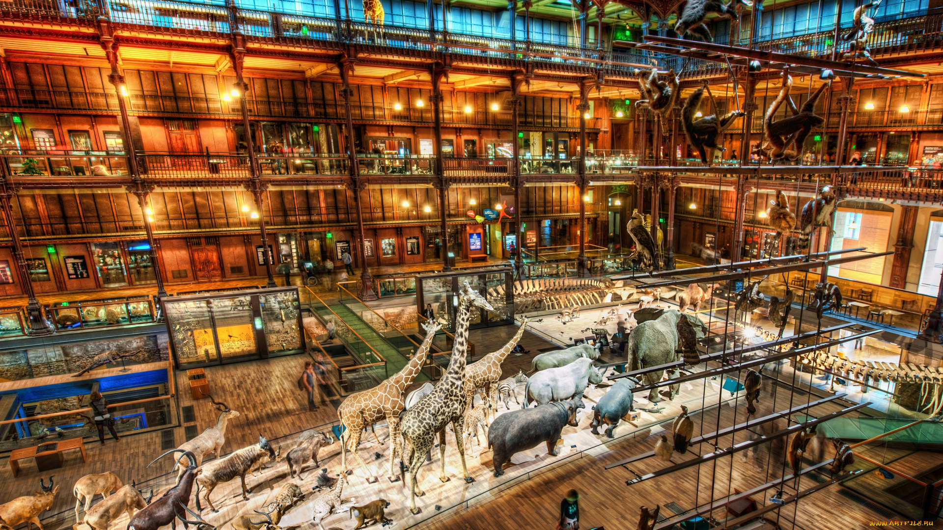 интерьер, дворцы, музеи, париж, музей