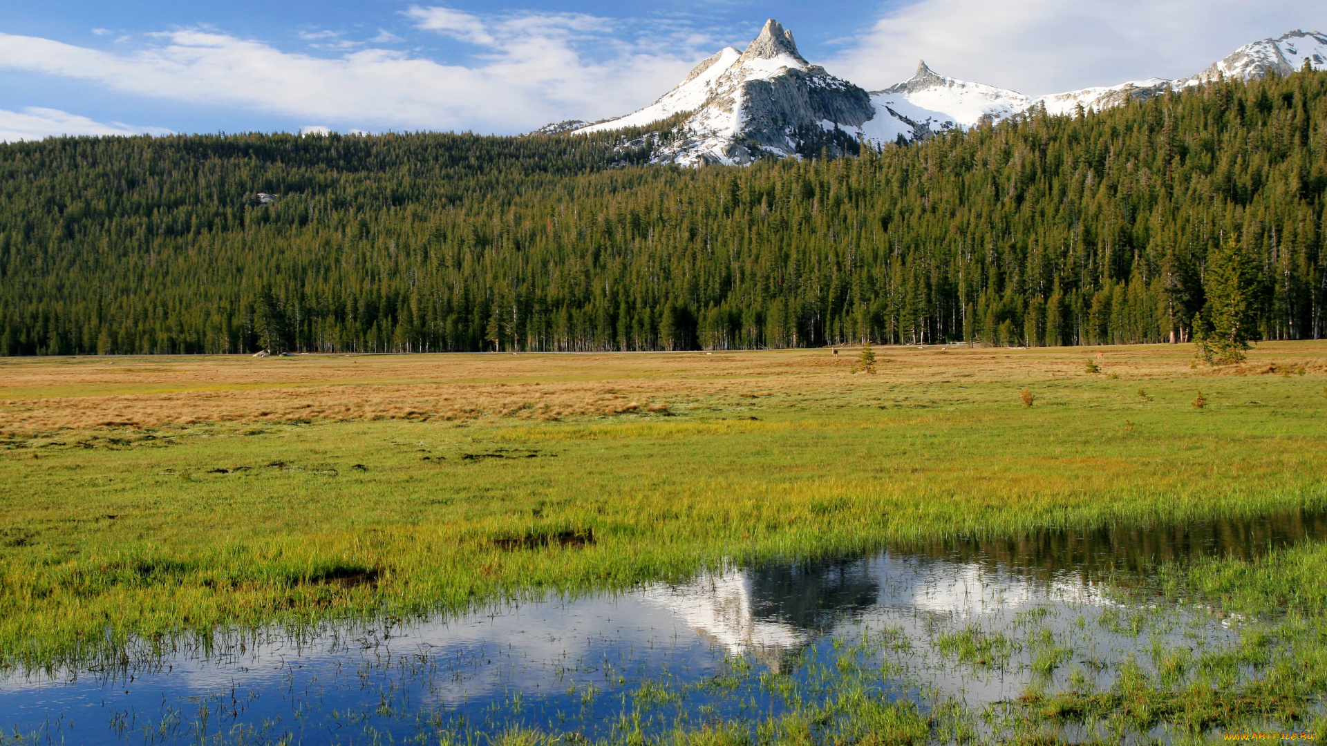 природа, реки, озера, cathedral, peak, yosemite, usa, california