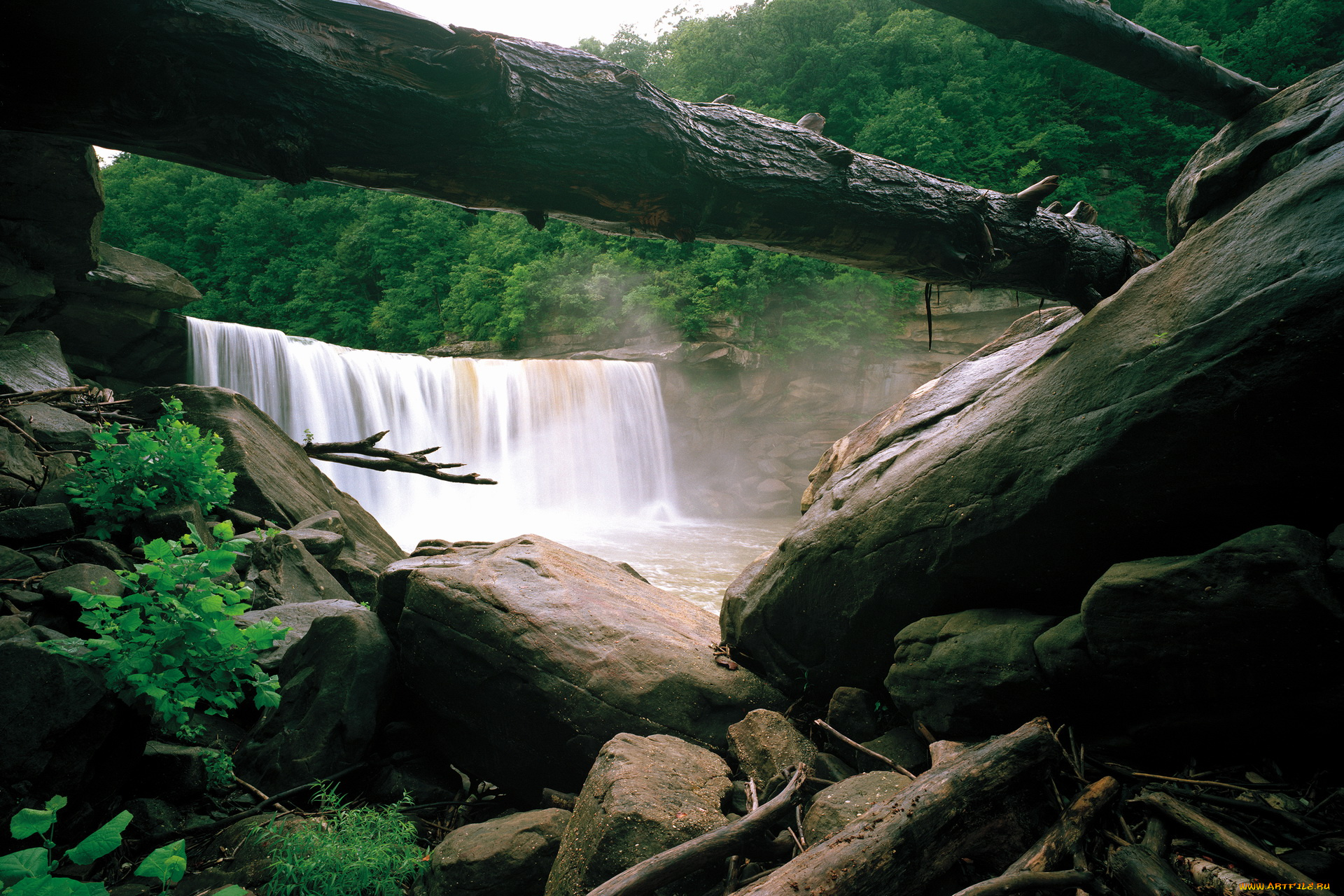cumberland, falls, kentucky, сша, природа, водопады, водопад, бревна