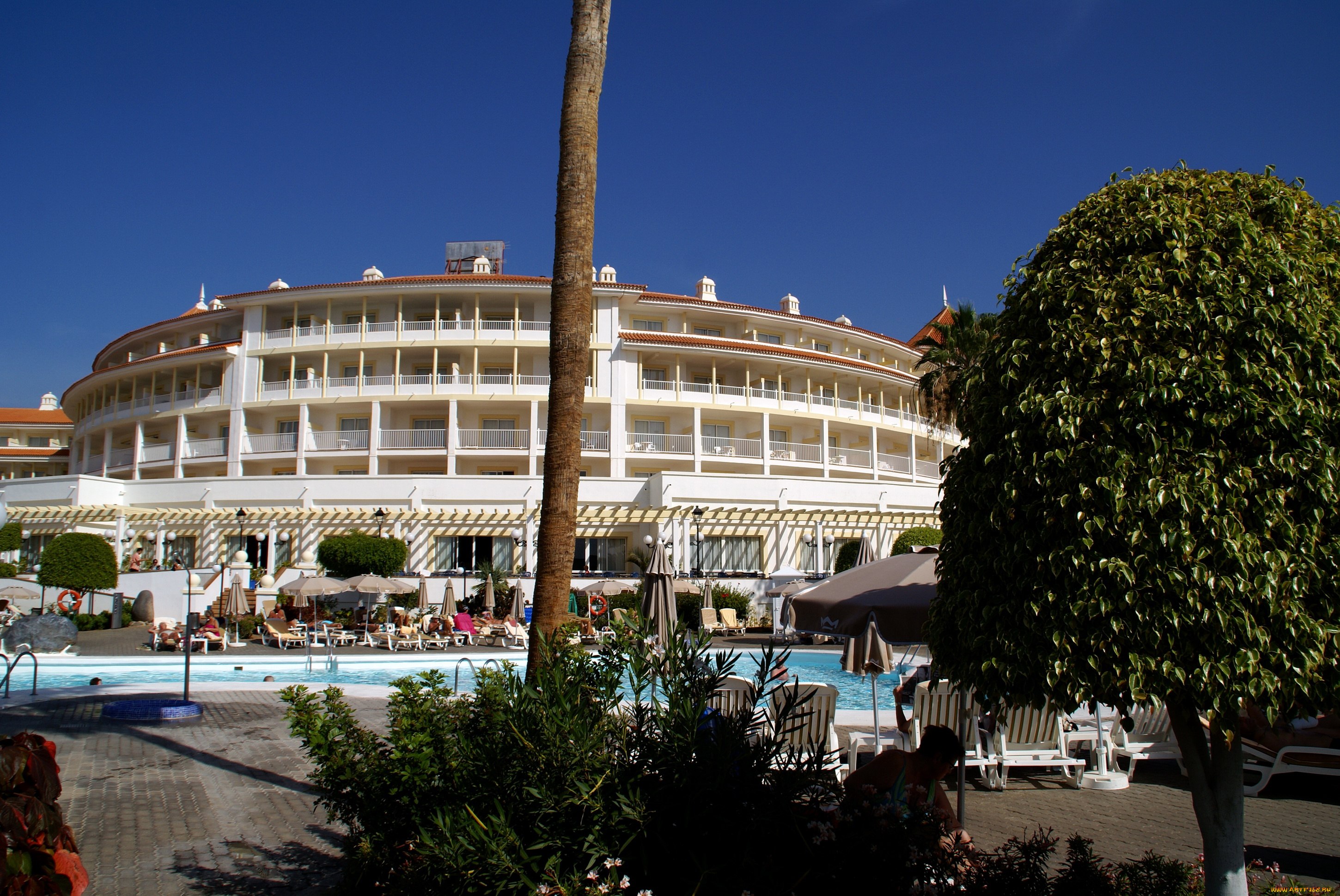 испания, канарские, острова, адехе, города, здания, дома, курорт, бассейн, гостиница