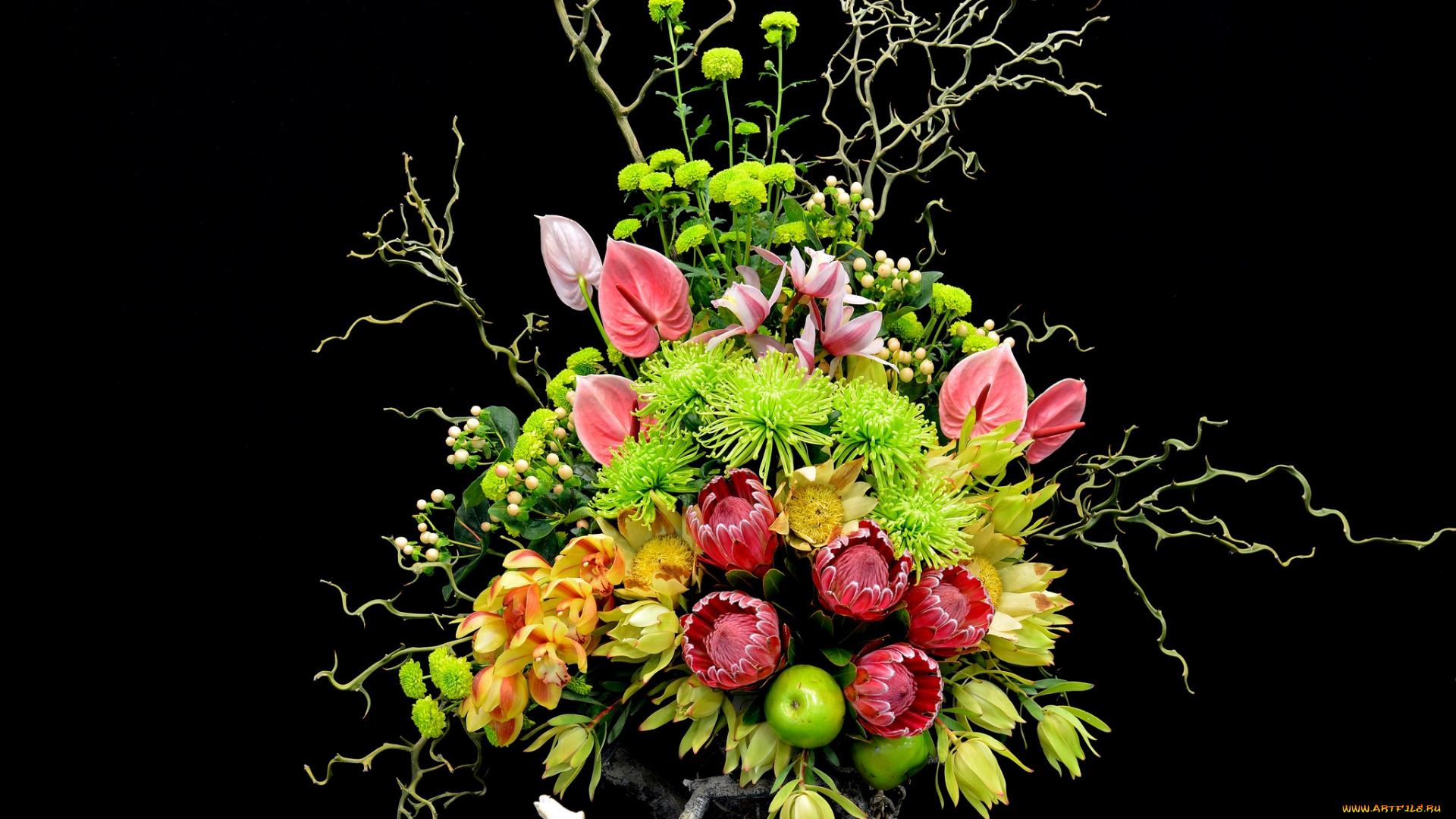 цветы, букеты, композиции, протея, орхидея, антуриум, хризантема, экзотика