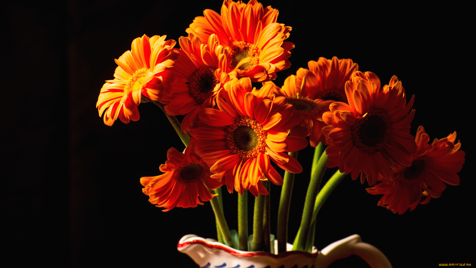 цветы, герберы, букет, оранжевый