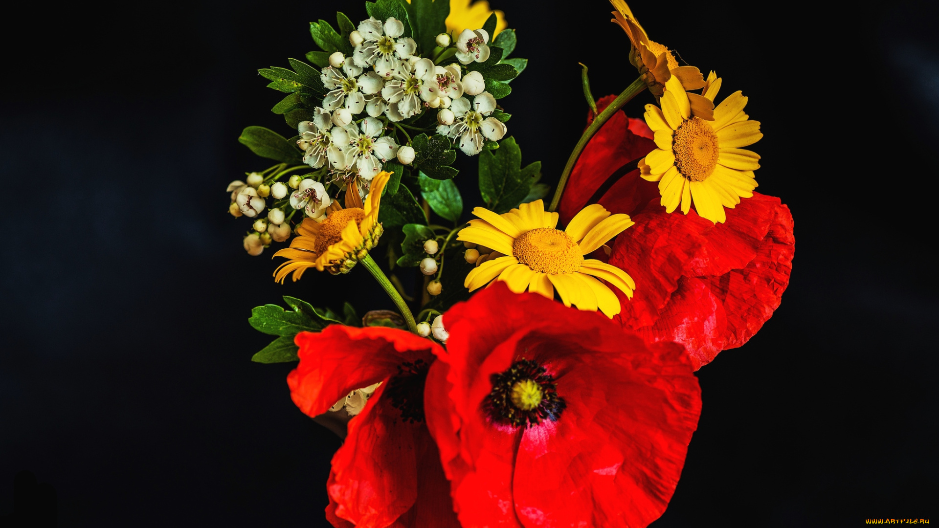 цветы, луговые, полевые, букет, маки