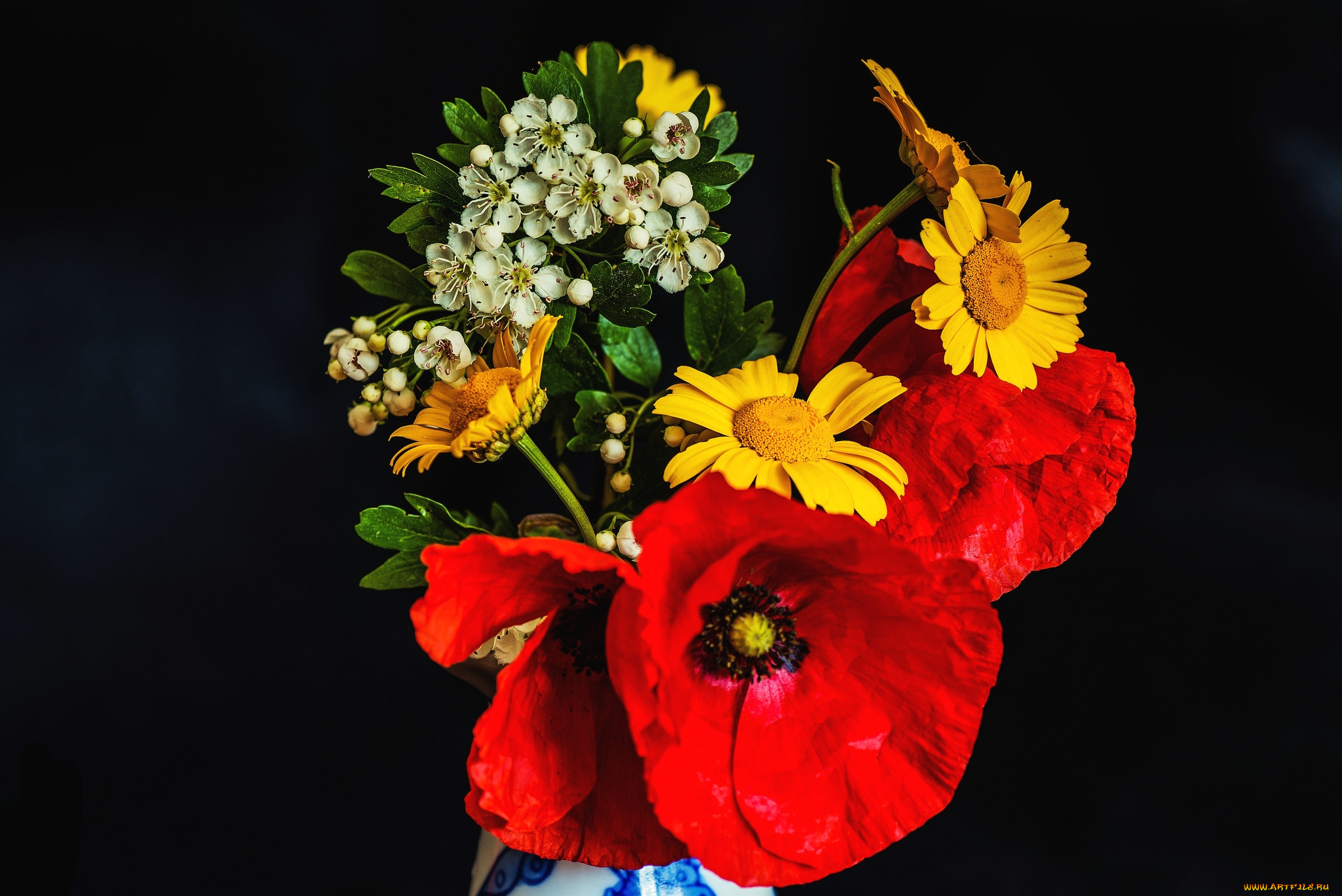 цветы, луговые, полевые, букет, маки