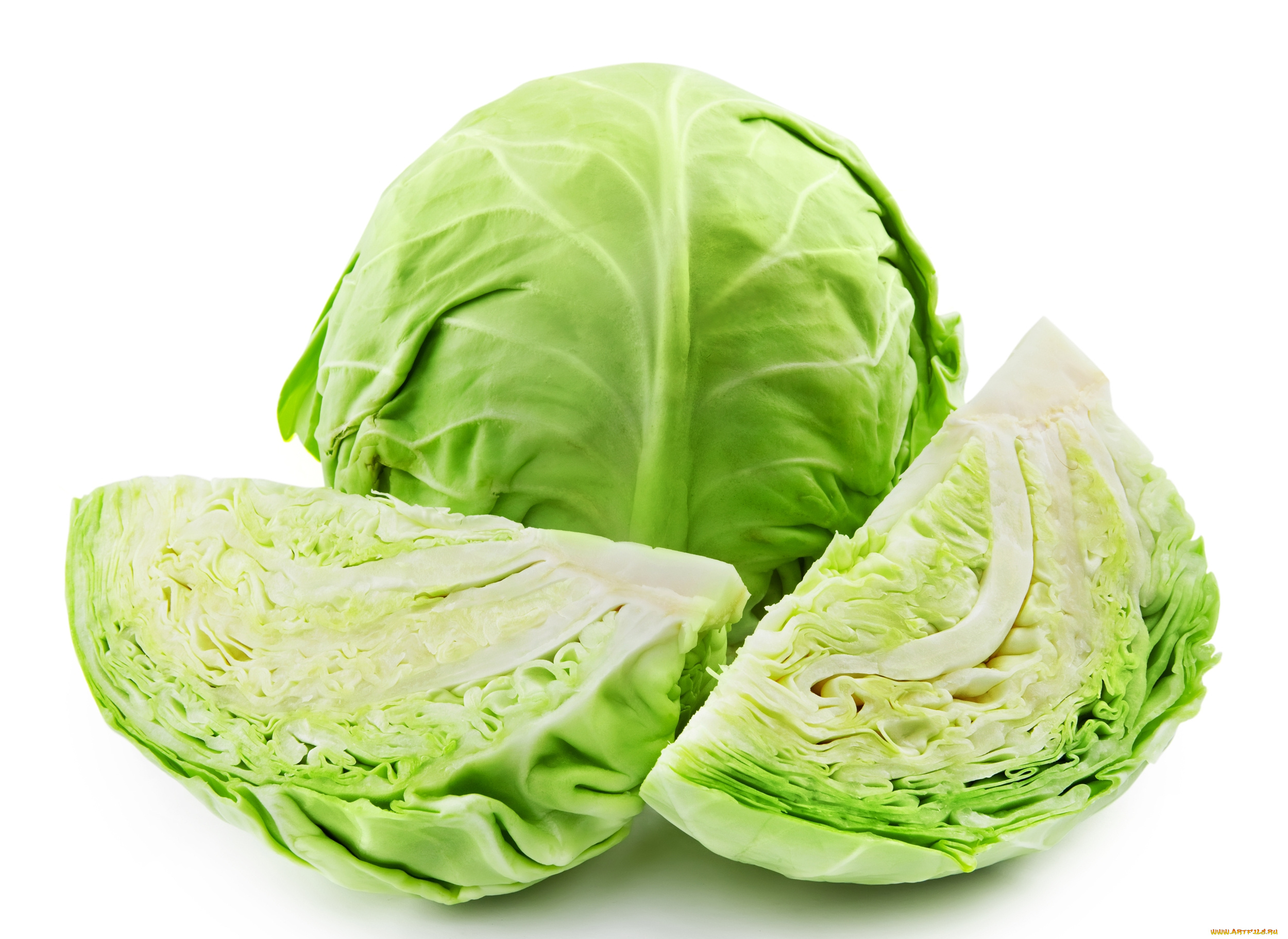 еда, капуста, и, её, разновидности, капуста