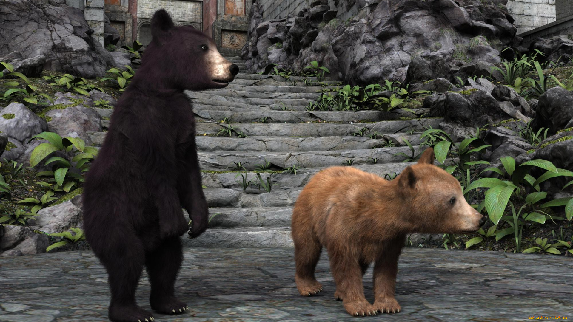 3д, графика, животные, , animals, медвежата