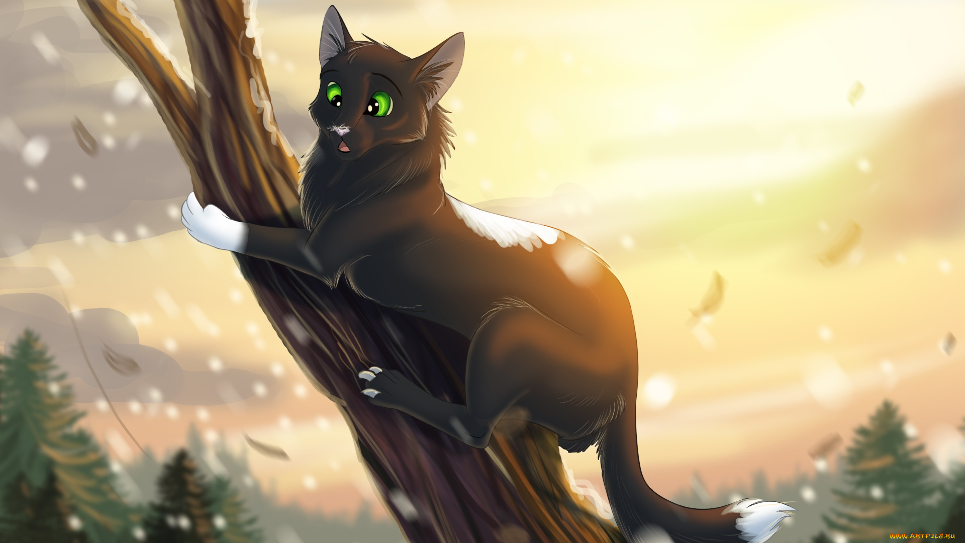 рисованное, животные, , коты, кот, взгляд, фон, ветка