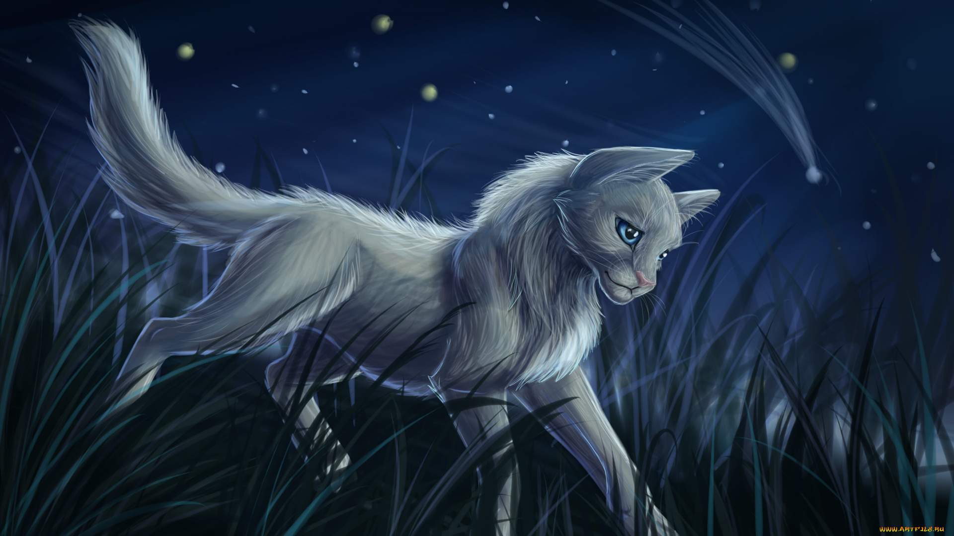 рисованное, животные, , коты, кот, взгляд, фон, трава, ночь