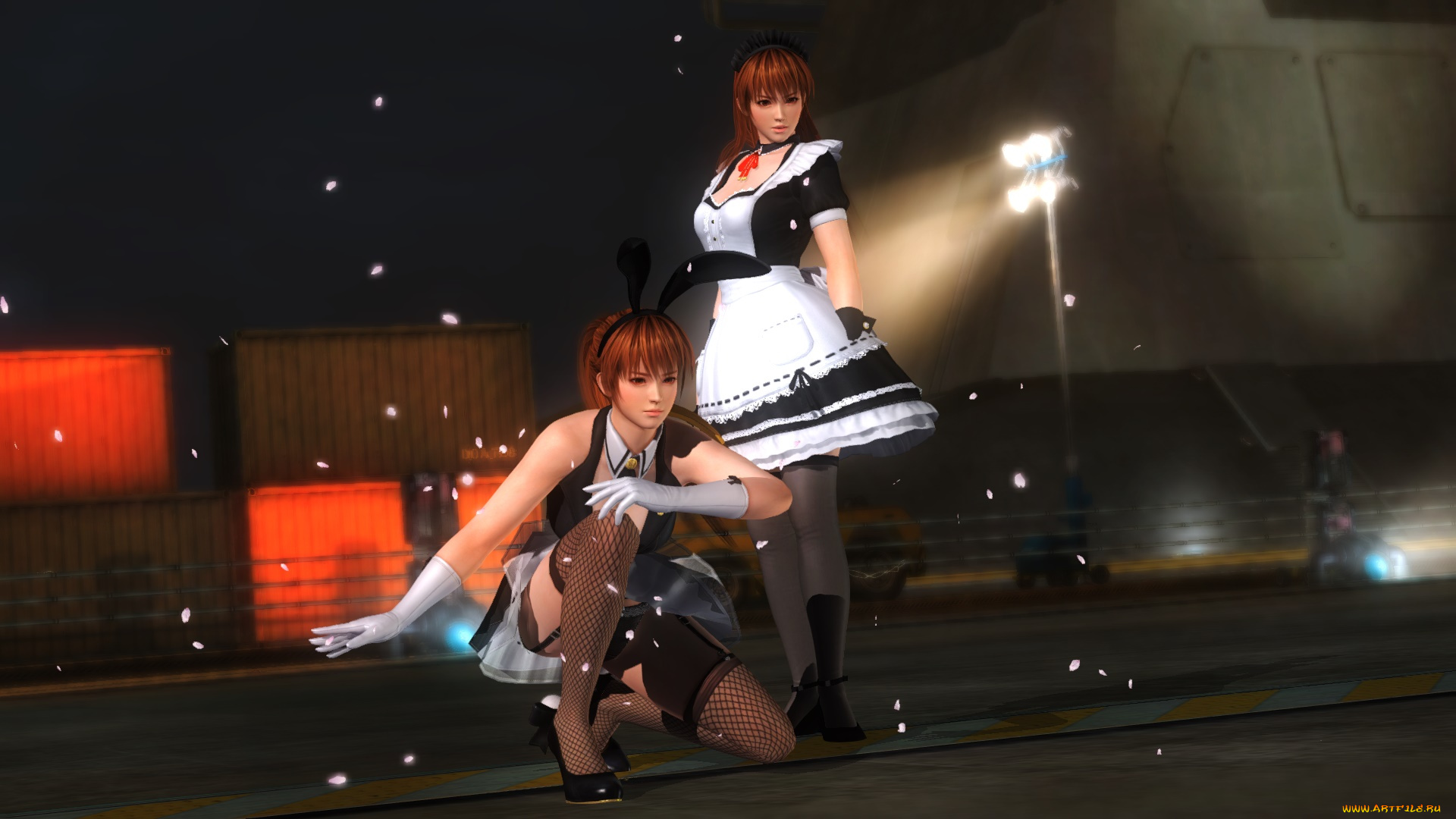 видео, игры, dead, or, alive, 5, девушки, взгляд, фон, перчатки