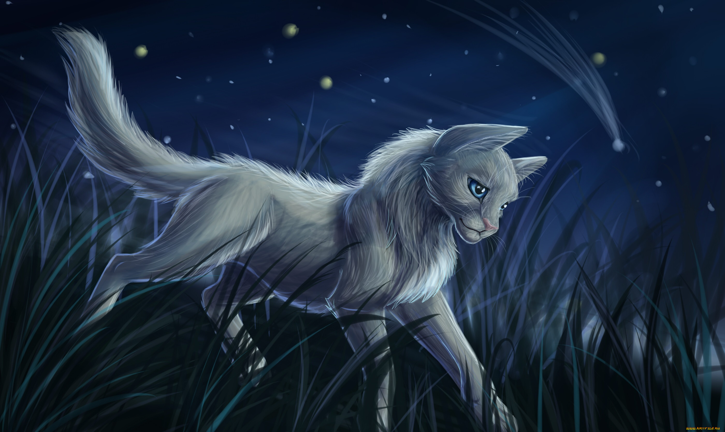 рисованное, животные, , коты, кот, взгляд, фон, трава, ночь