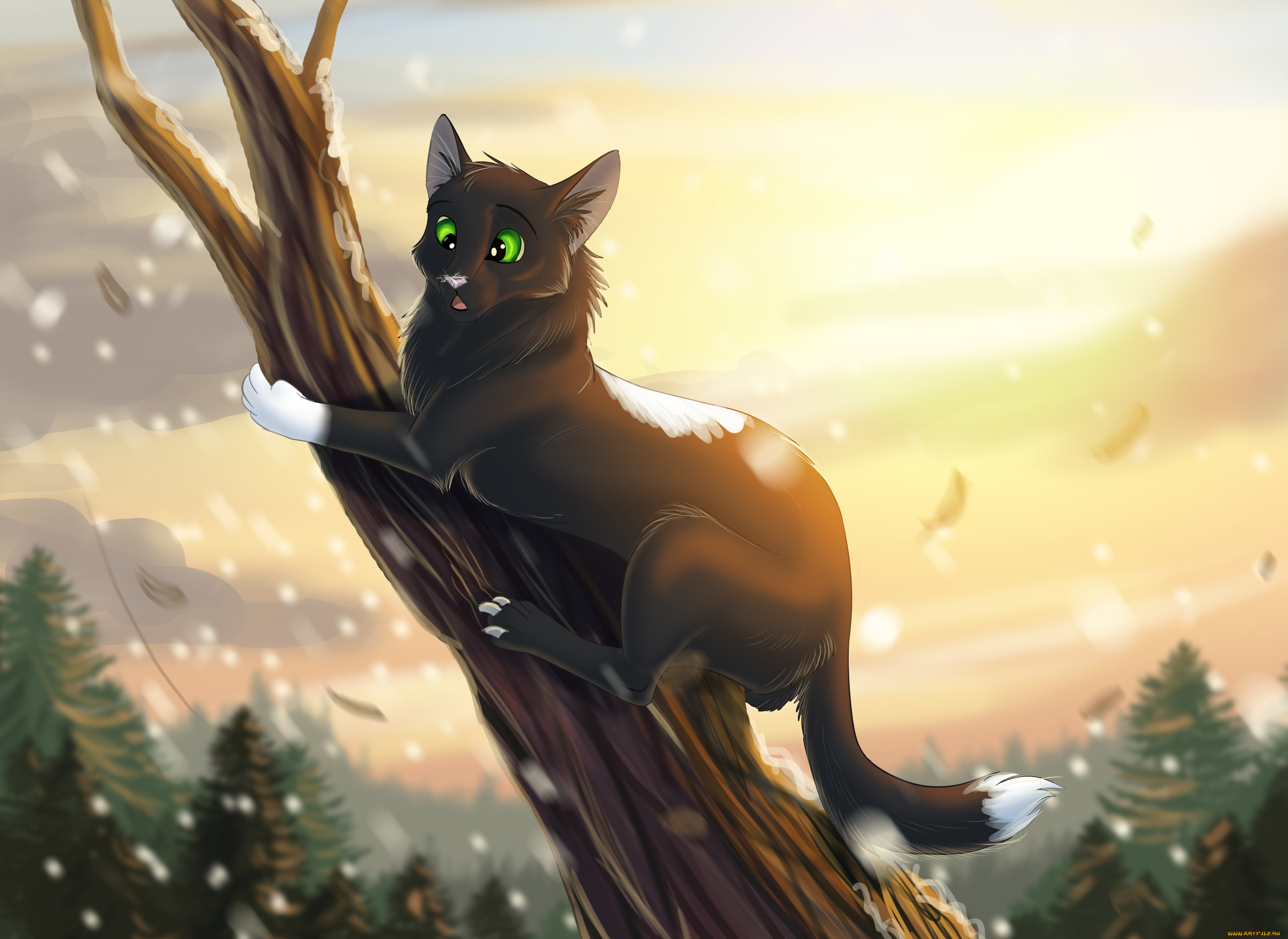 рисованное, животные, , коты, кот, взгляд, фон, ветка