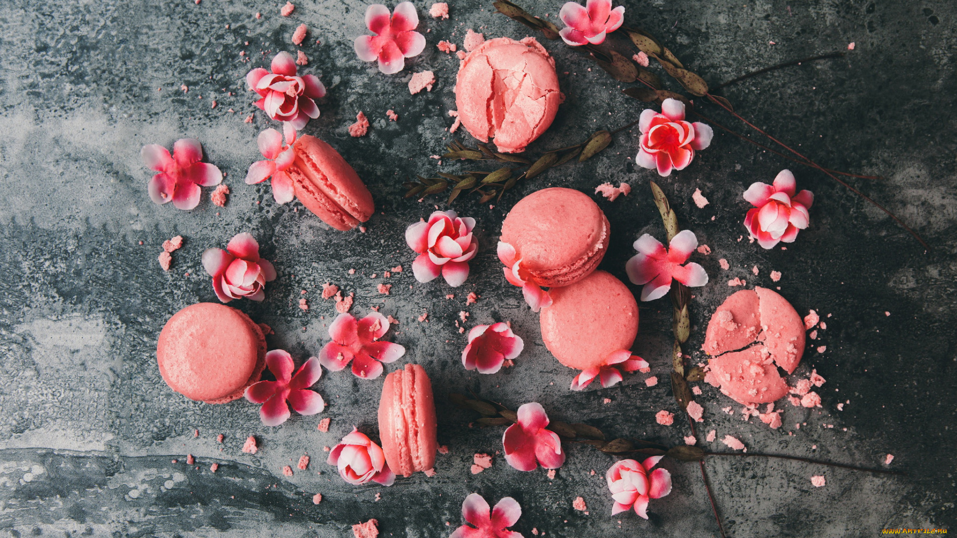 еда, макаруны, выпечка, сладость, пирожное, цветы