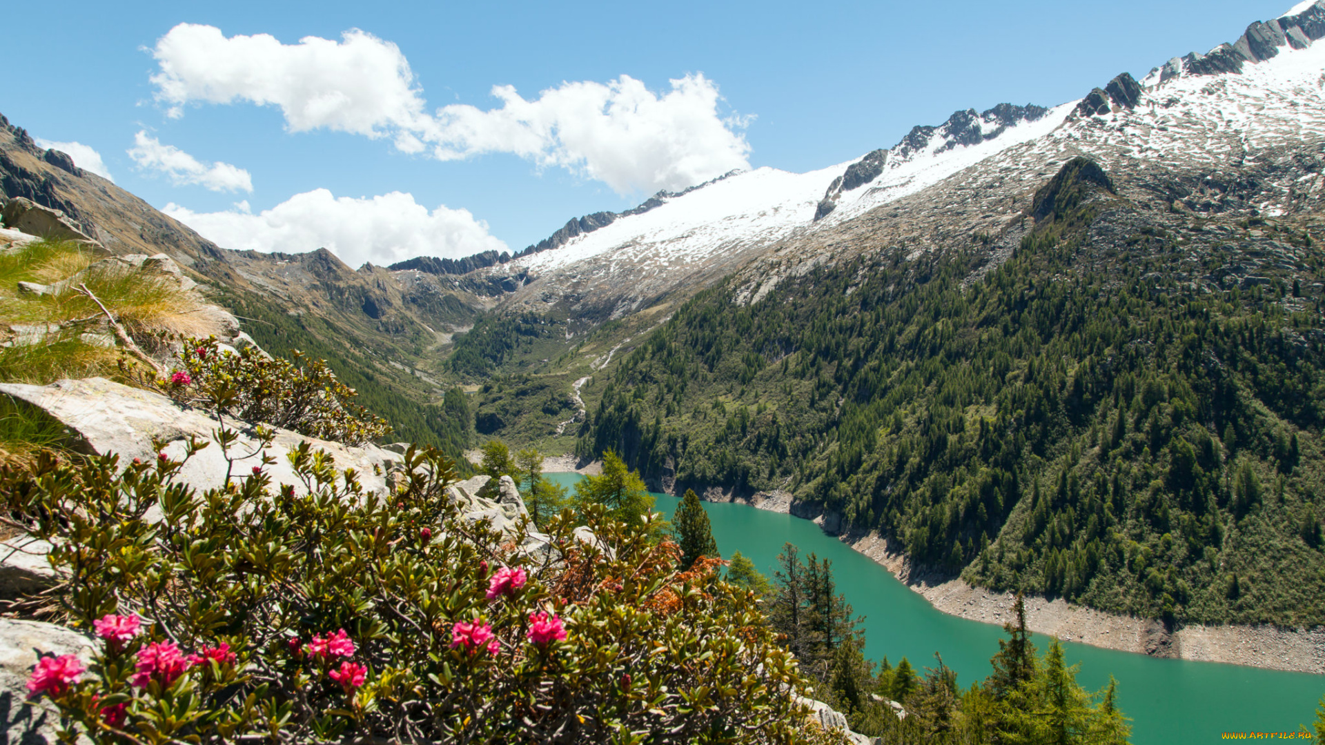 природа, горы, кустарники, река, снег, цветы