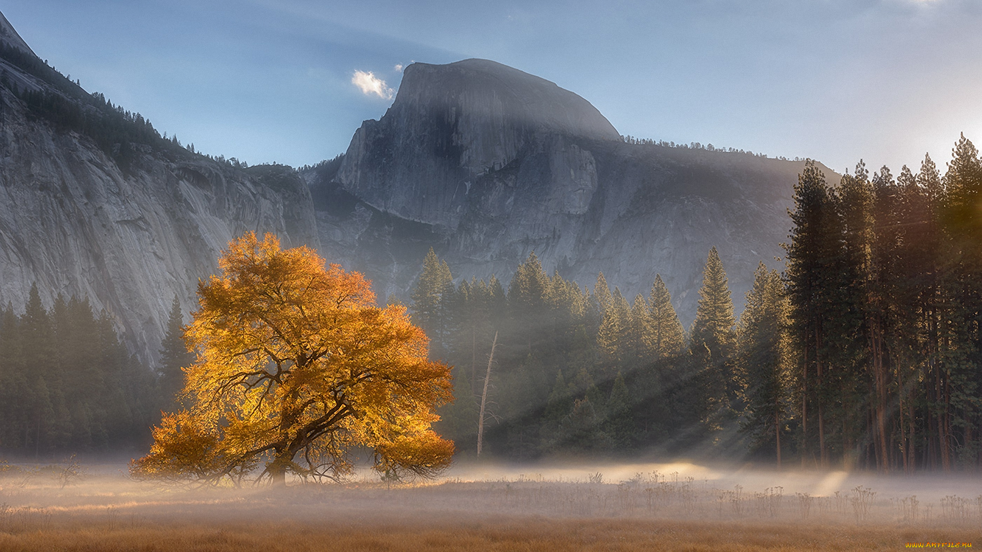 природа, пейзажи, горы, дерево