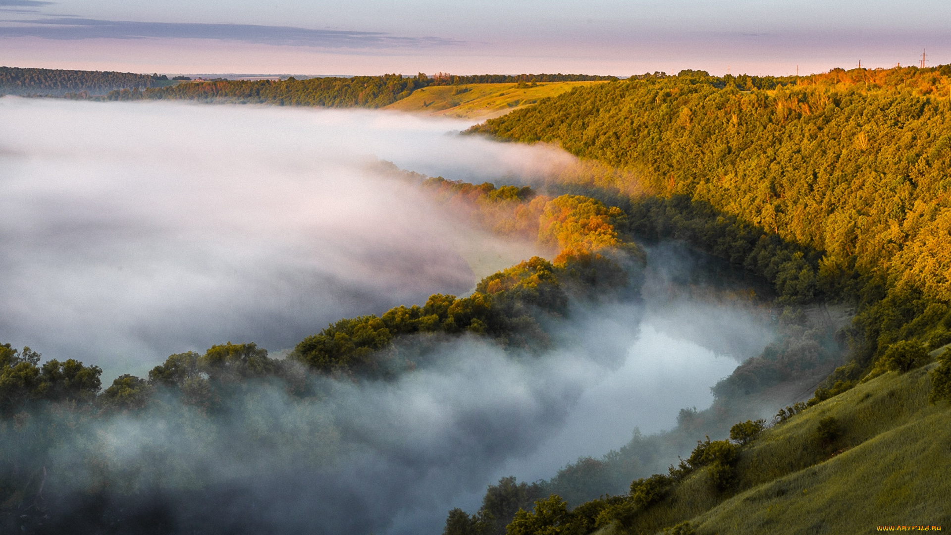 природа, реки, озера, туман, деревья