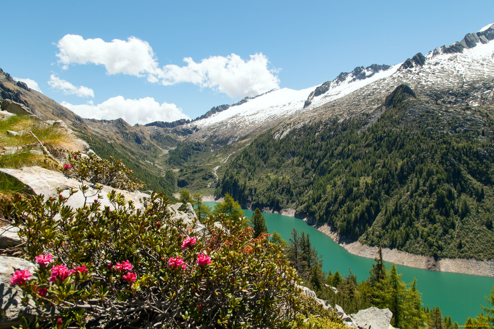 природа, горы, кустарники, река, снег, цветы