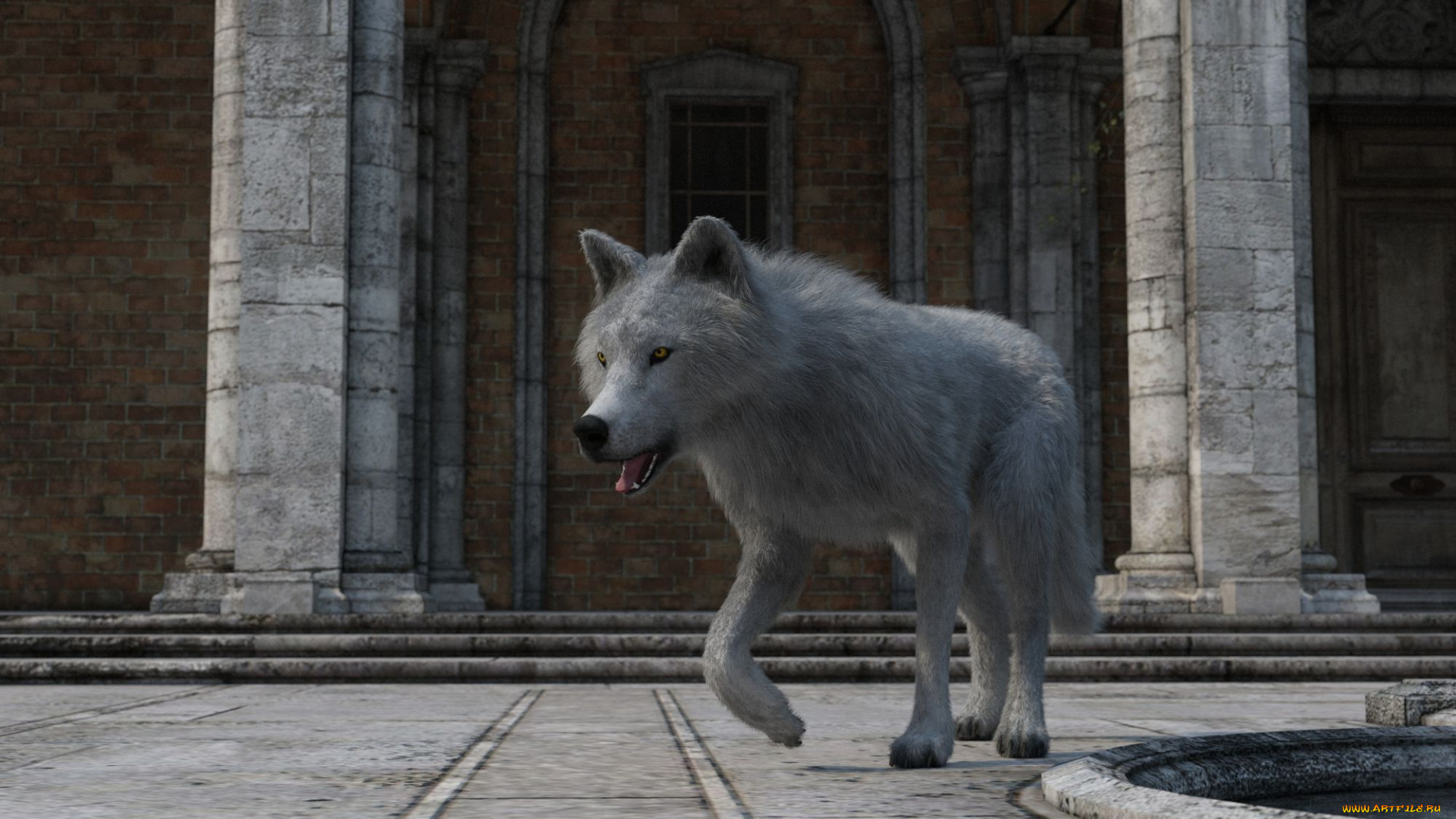 3д, графика, животные, , animals, волк, фон